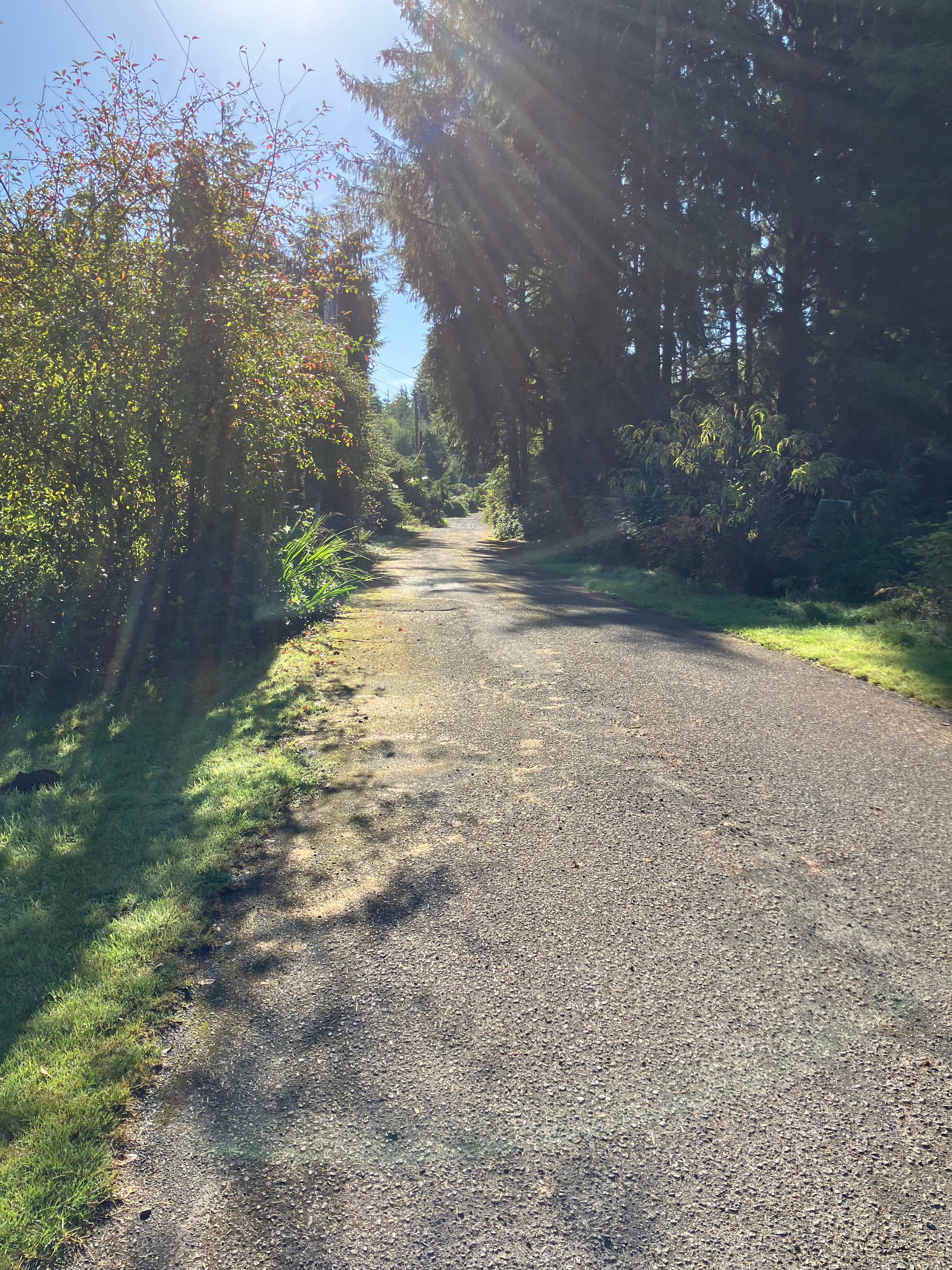 Fullerton Road Campsite 1