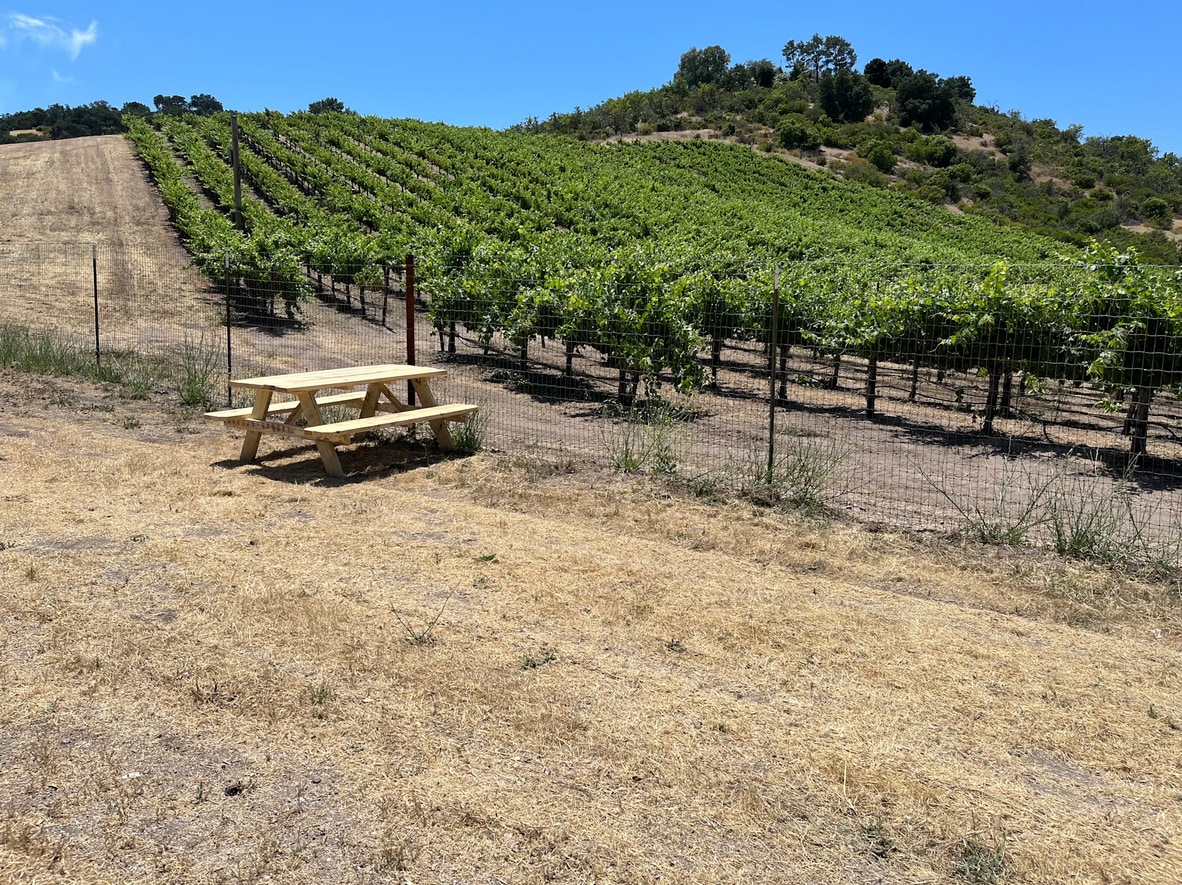 Paul's Paso Vineyard