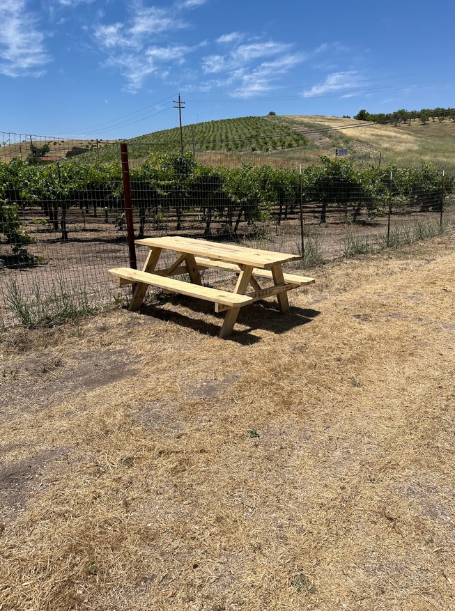 Paul's Paso Vineyard