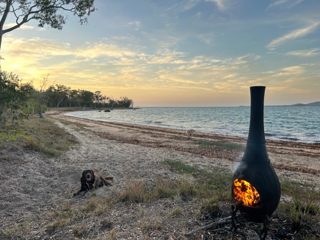 Muddy Bucks on the Bay