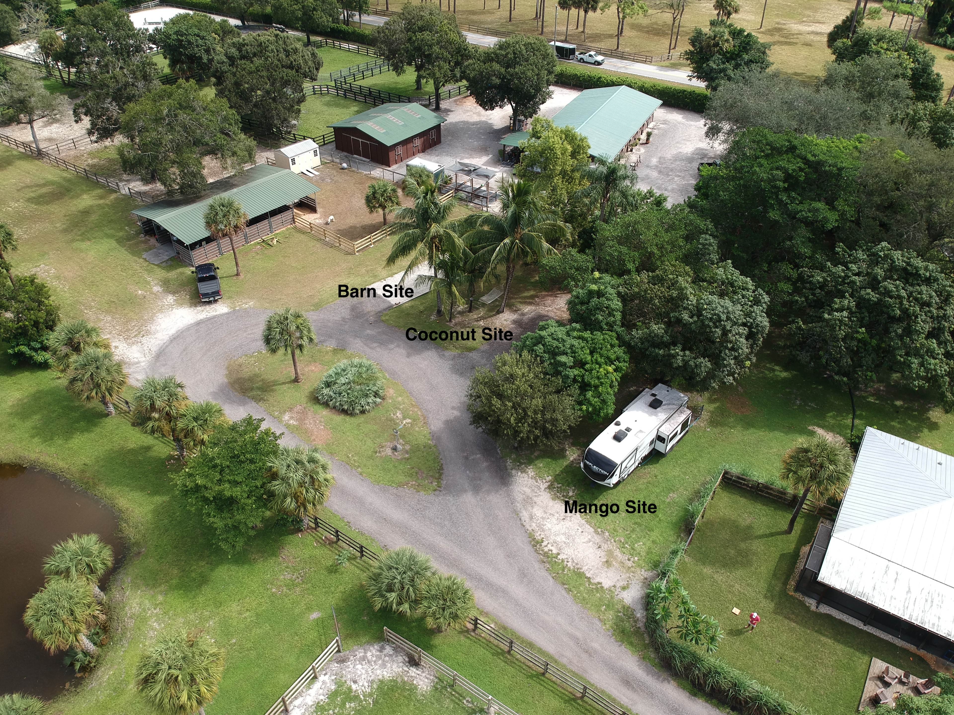 Mini Ponies & Mango Trees Retreat