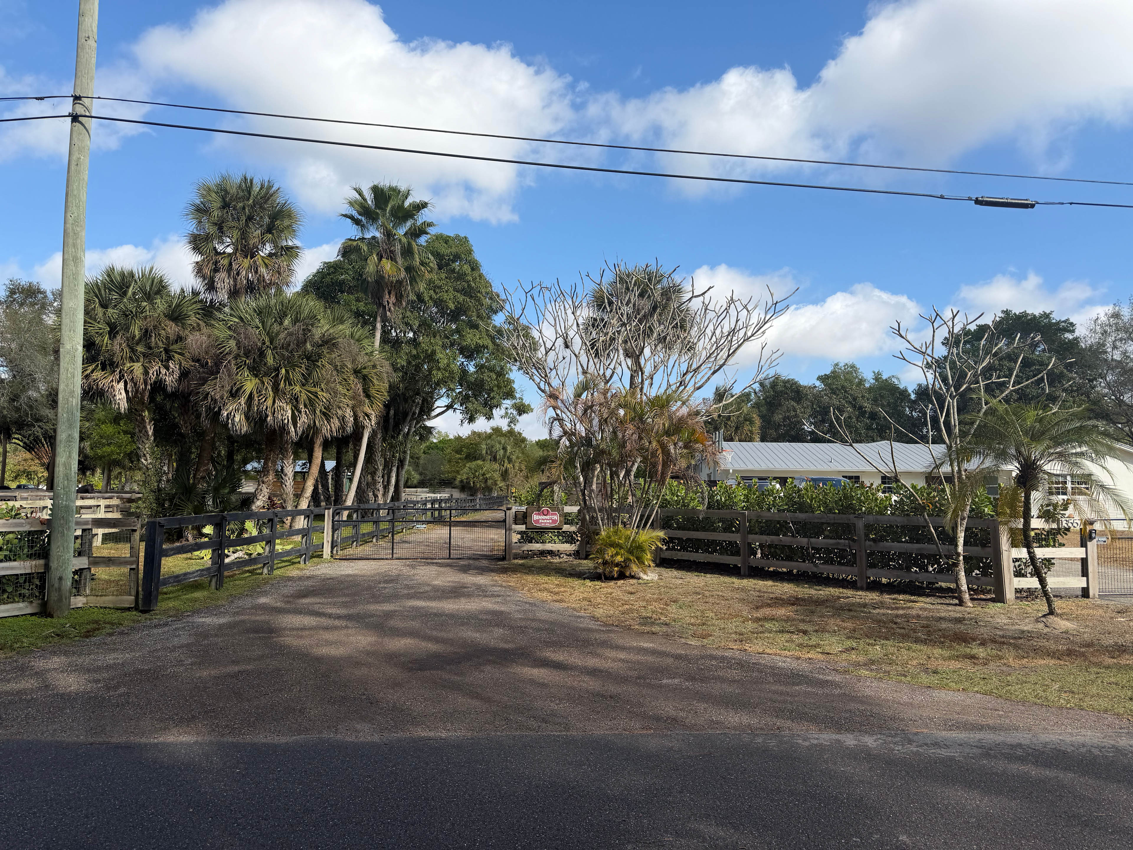 Mini Ponies & Mango Trees Retreat