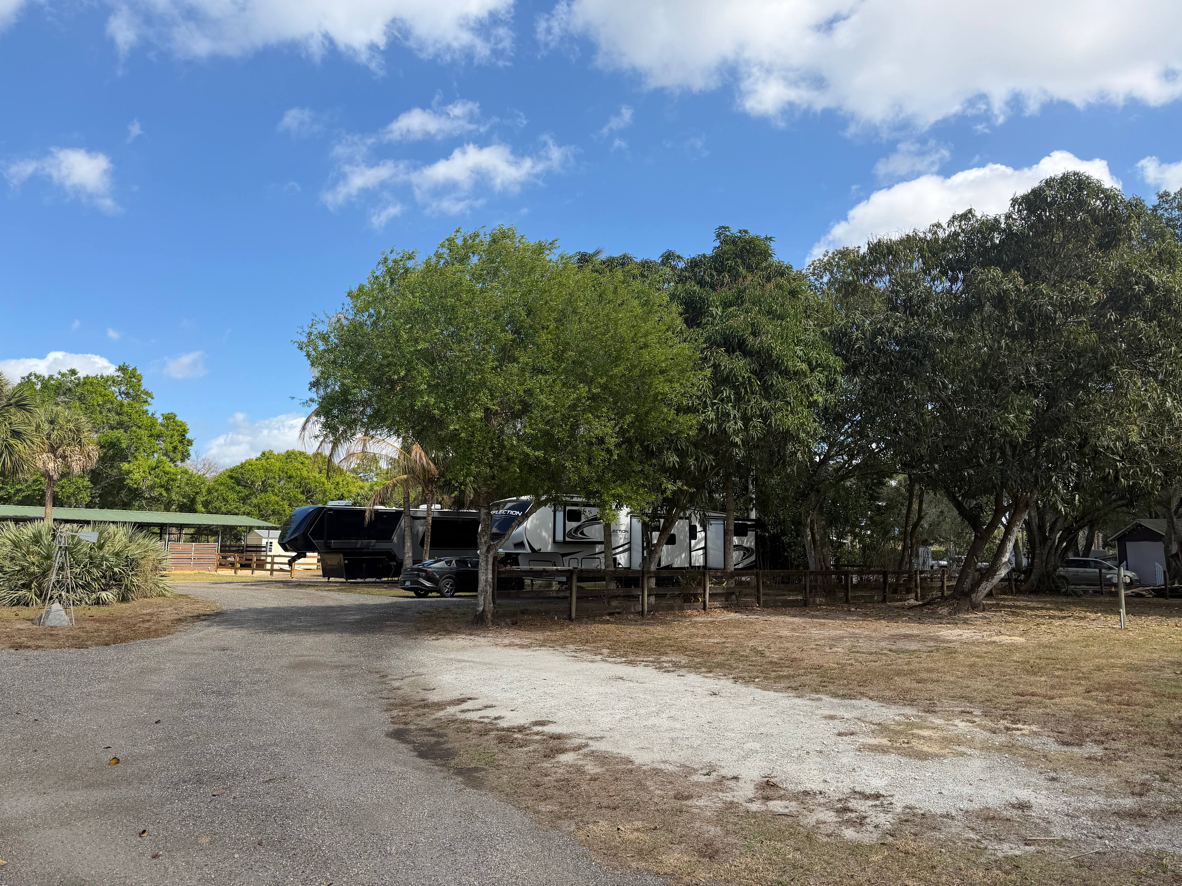 Mini Ponies & Mango Trees Retreat