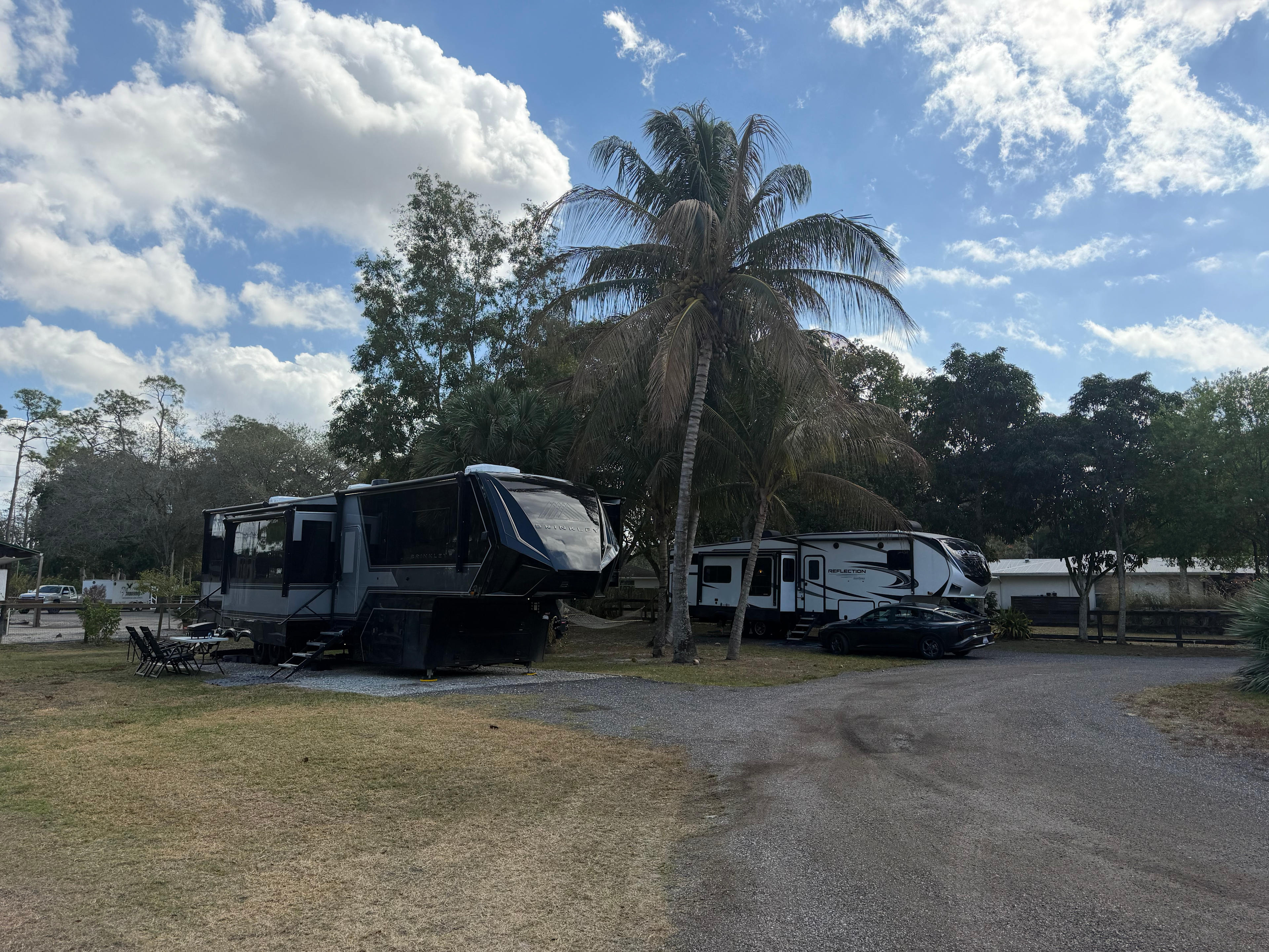 Mini Ponies & Mango Trees Retreat