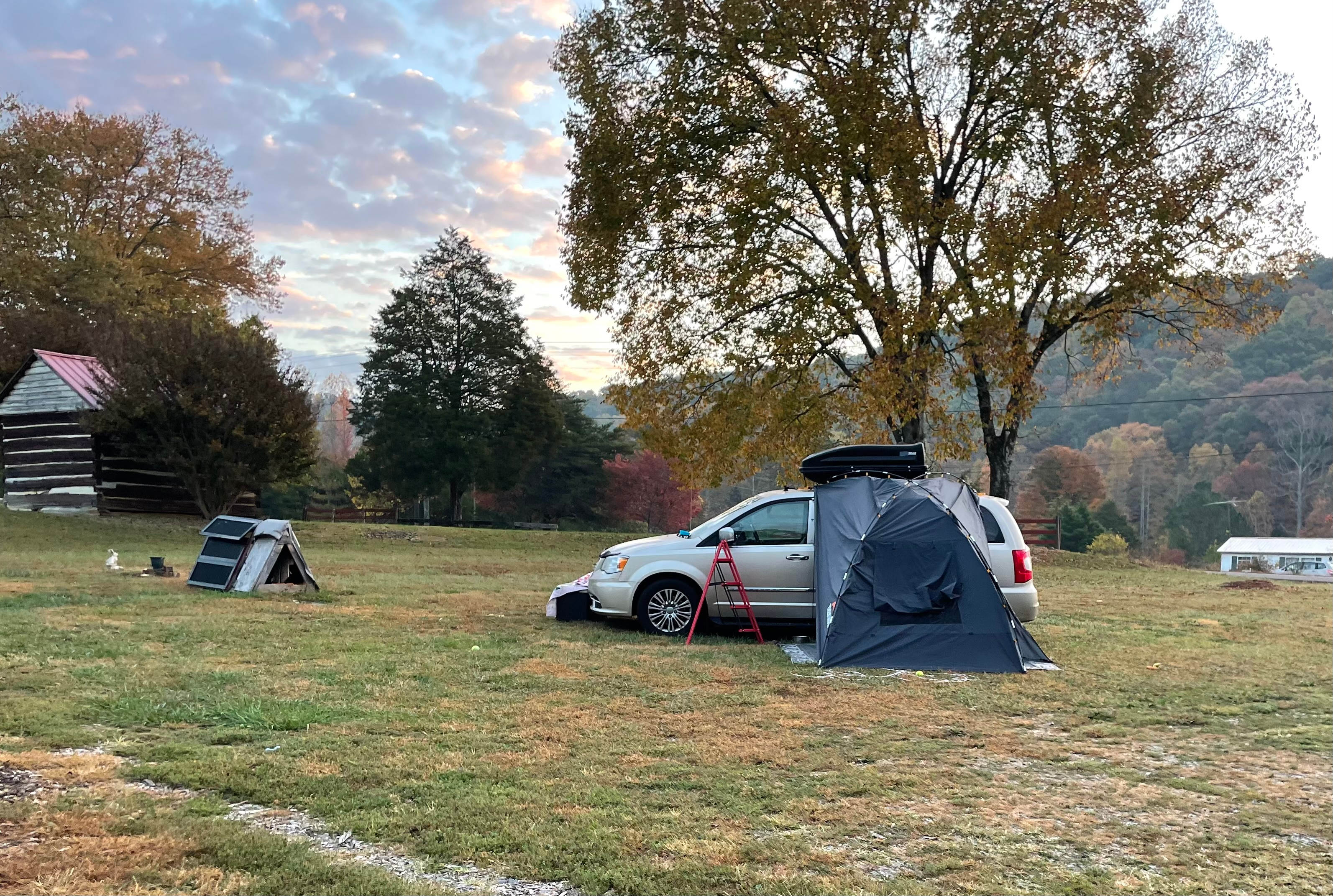 Limb-It-Less Funny Farm