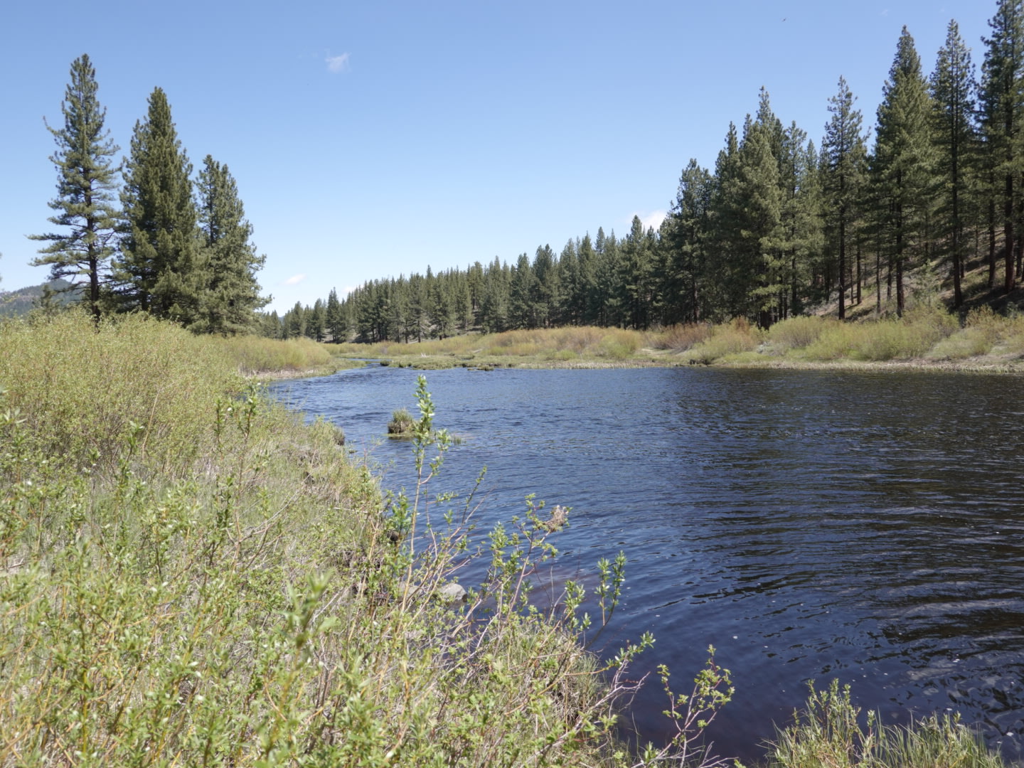 Lena's Landing- a cozy cabin