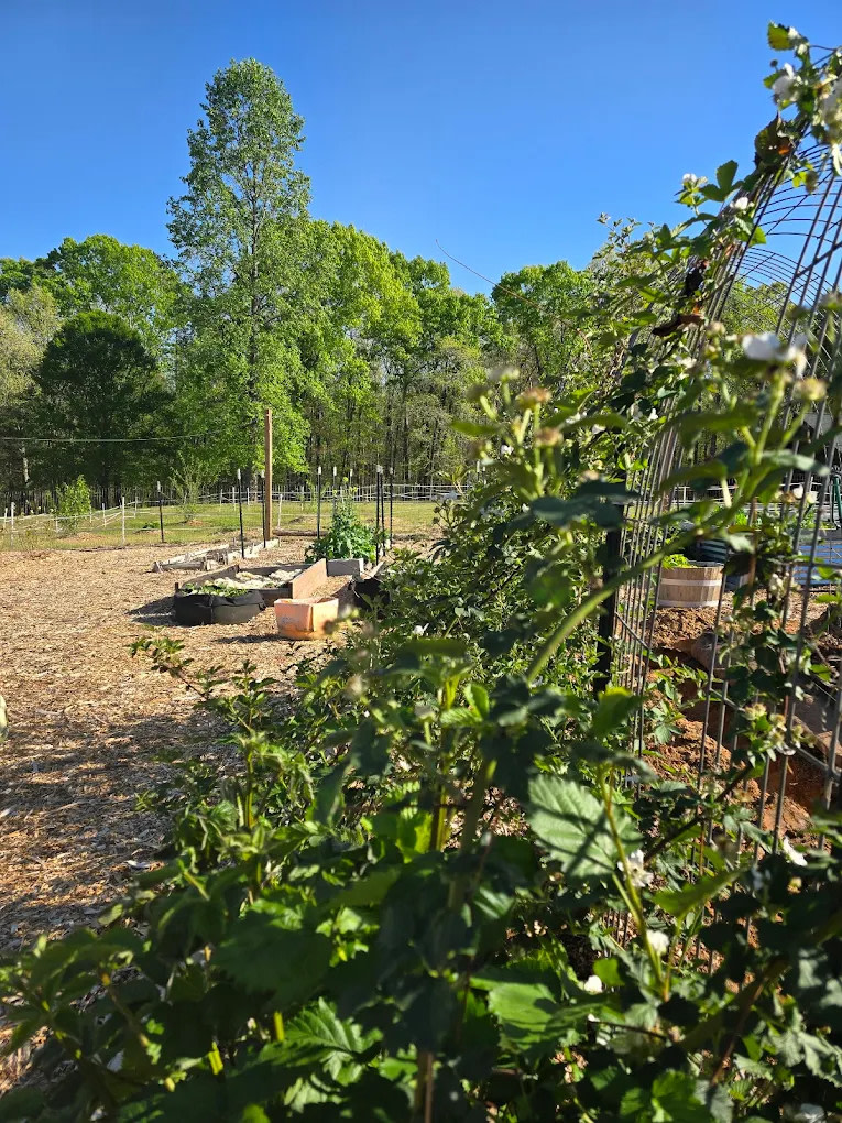 Ewe on the Farm - Apartment