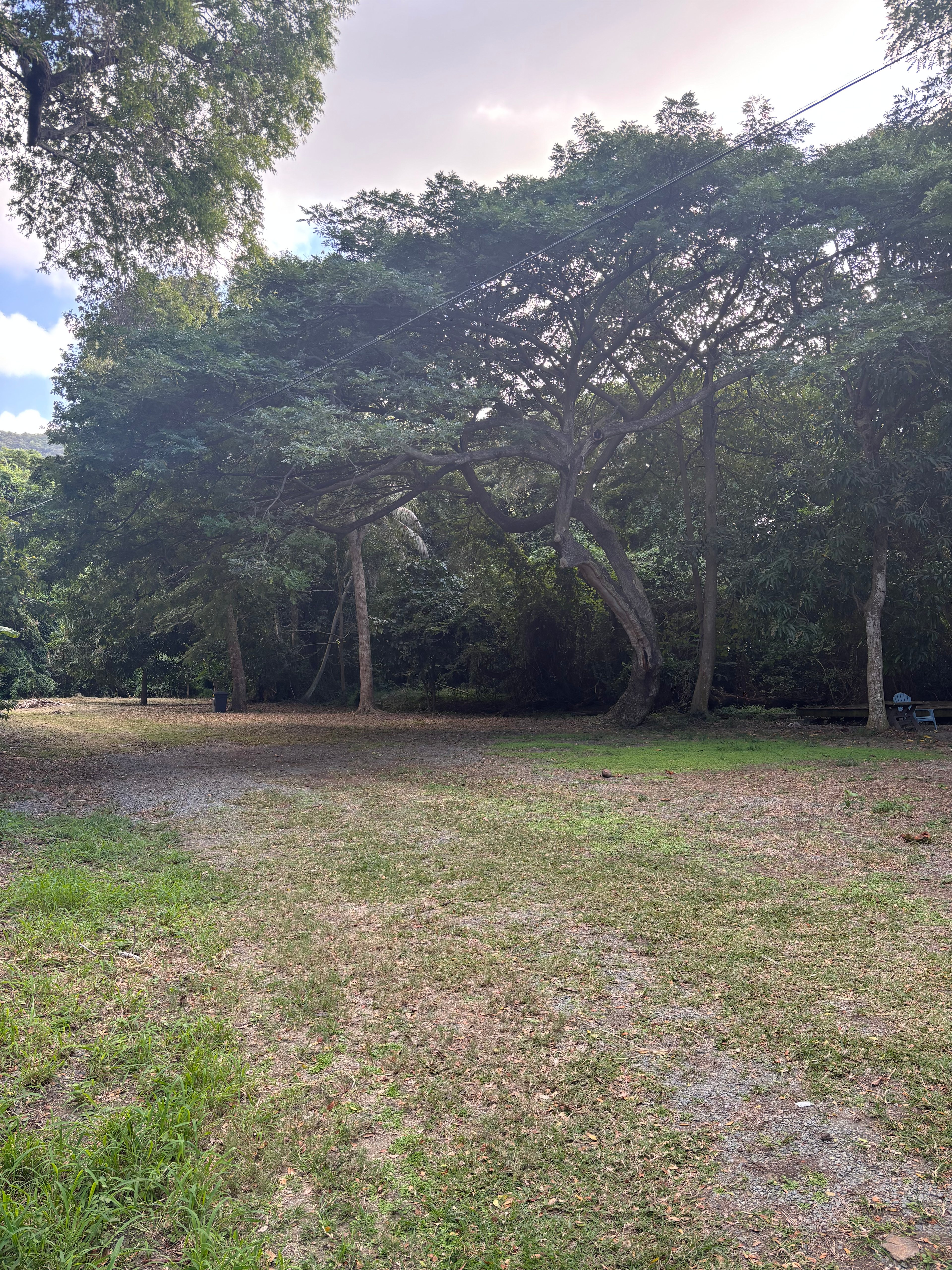 Serenity's Nest Campgrounds