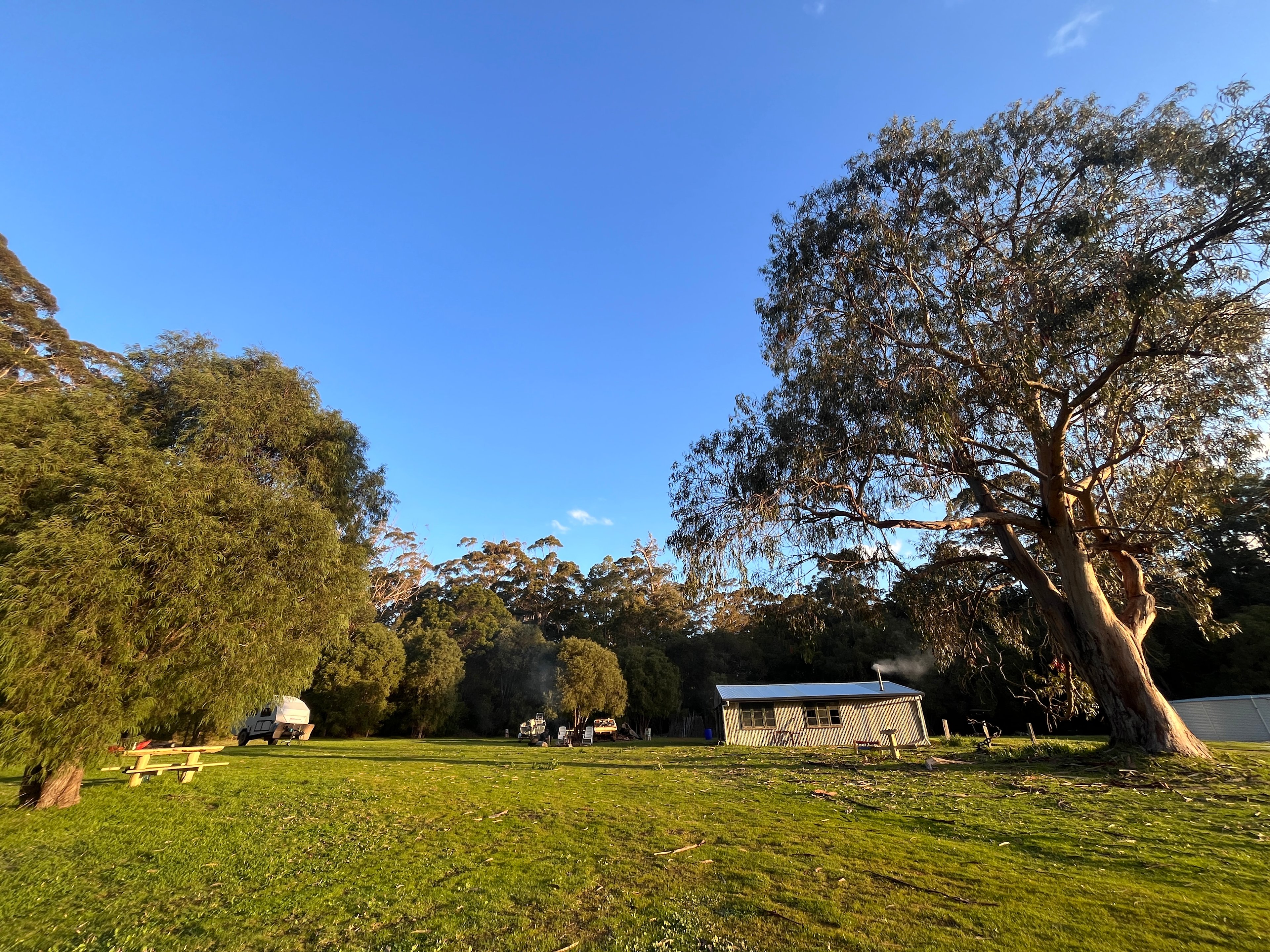 Jaspers Tree Campground