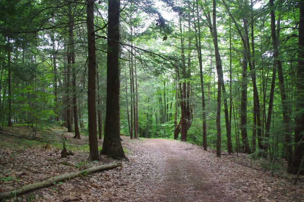 Winston Prouty Campground