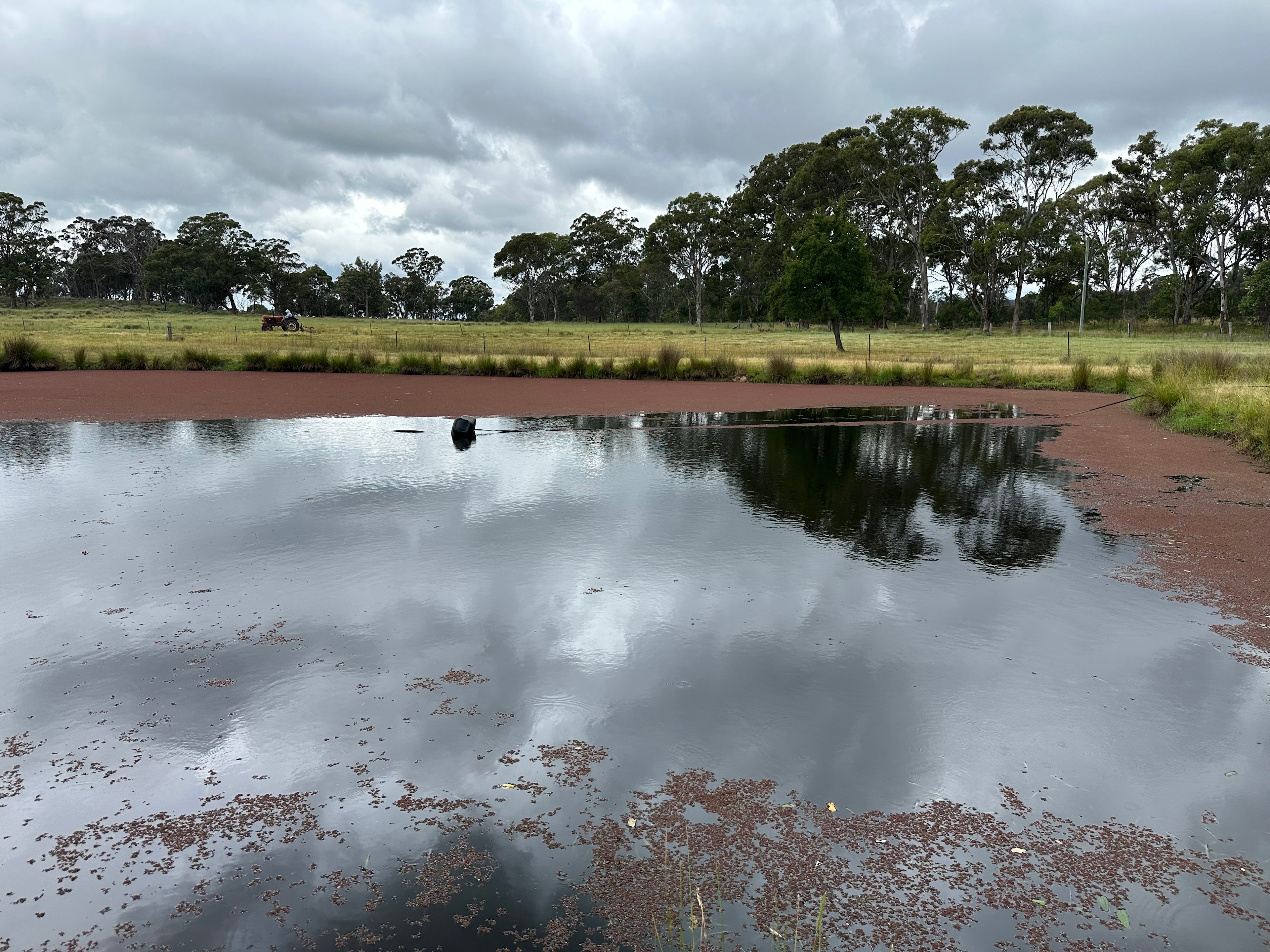 Pindari Farm - Mount Tully