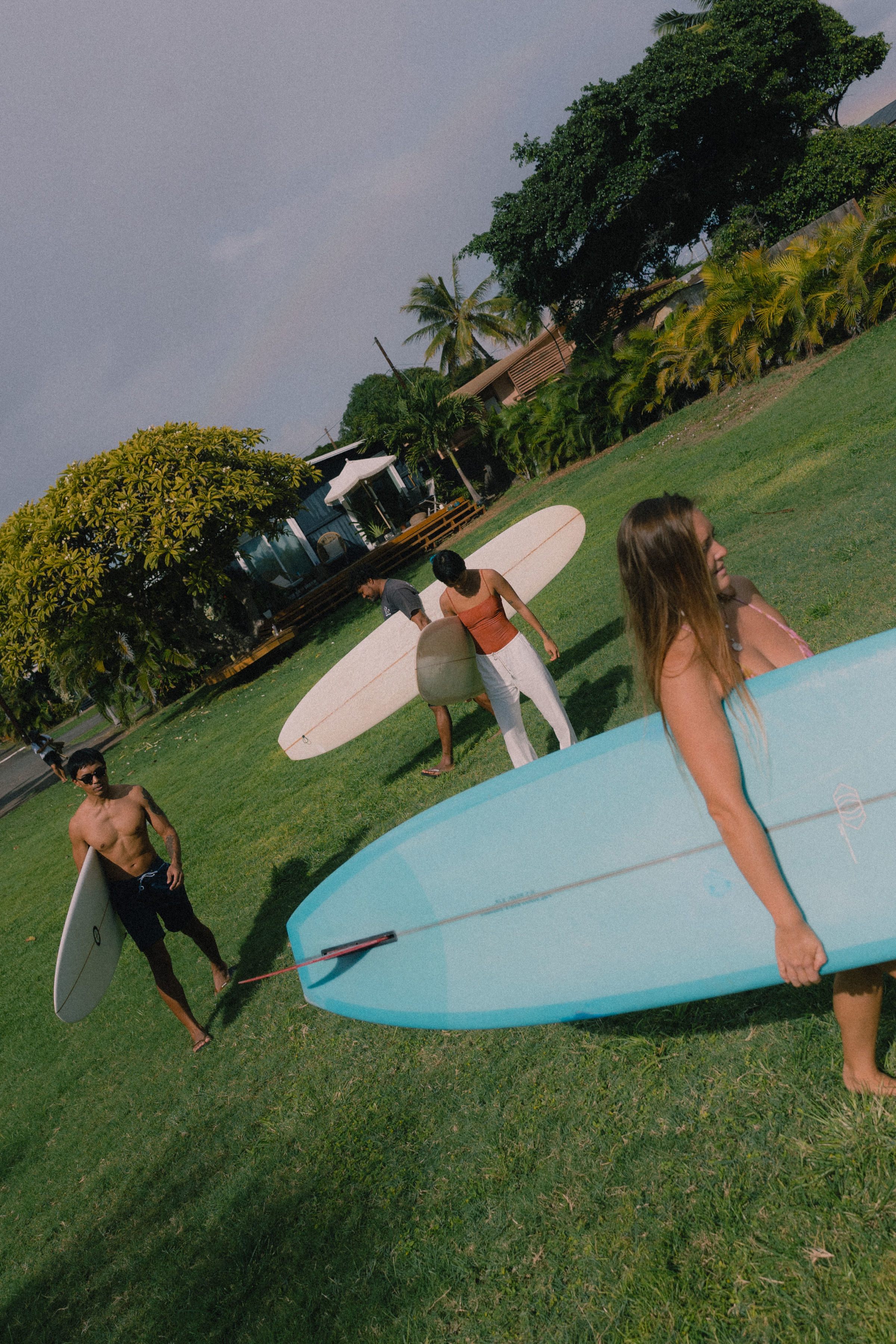 The Lawn On The South Shore