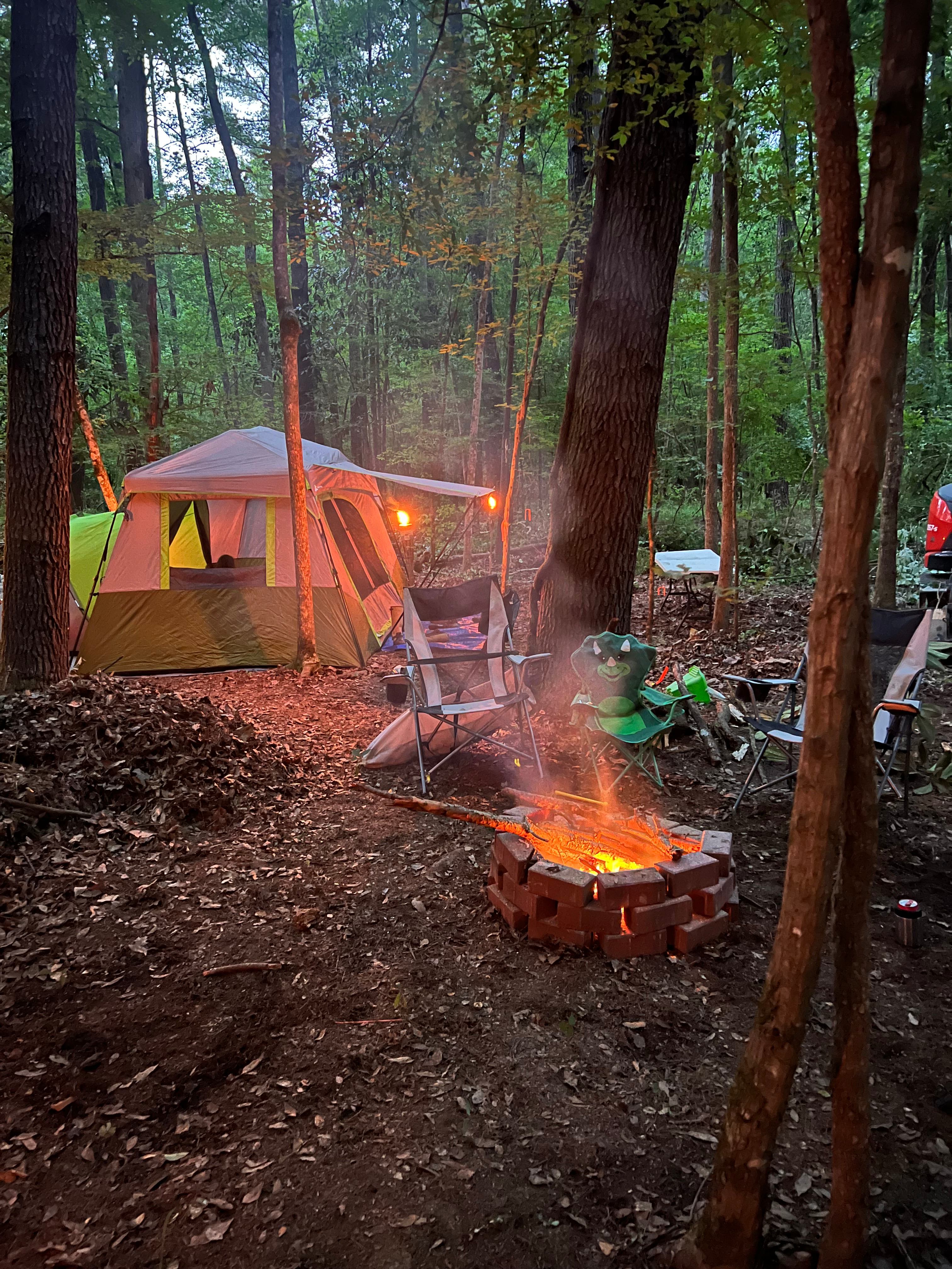 Magnolia Branch on the Gully