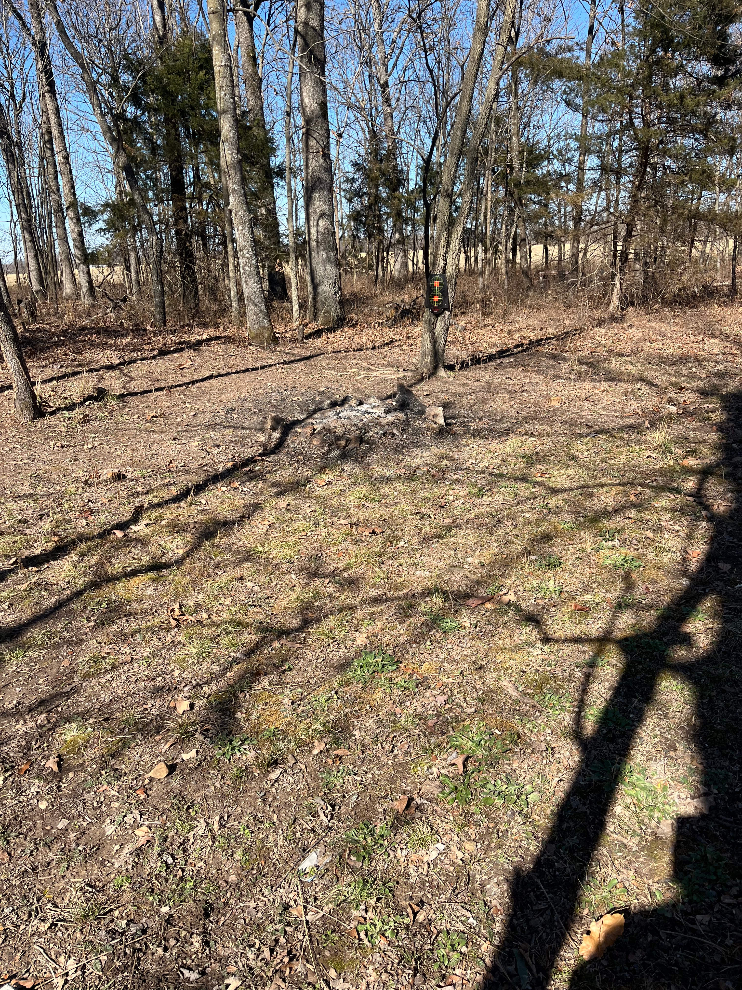 Ozzie and Daisy’s Chill and Stay