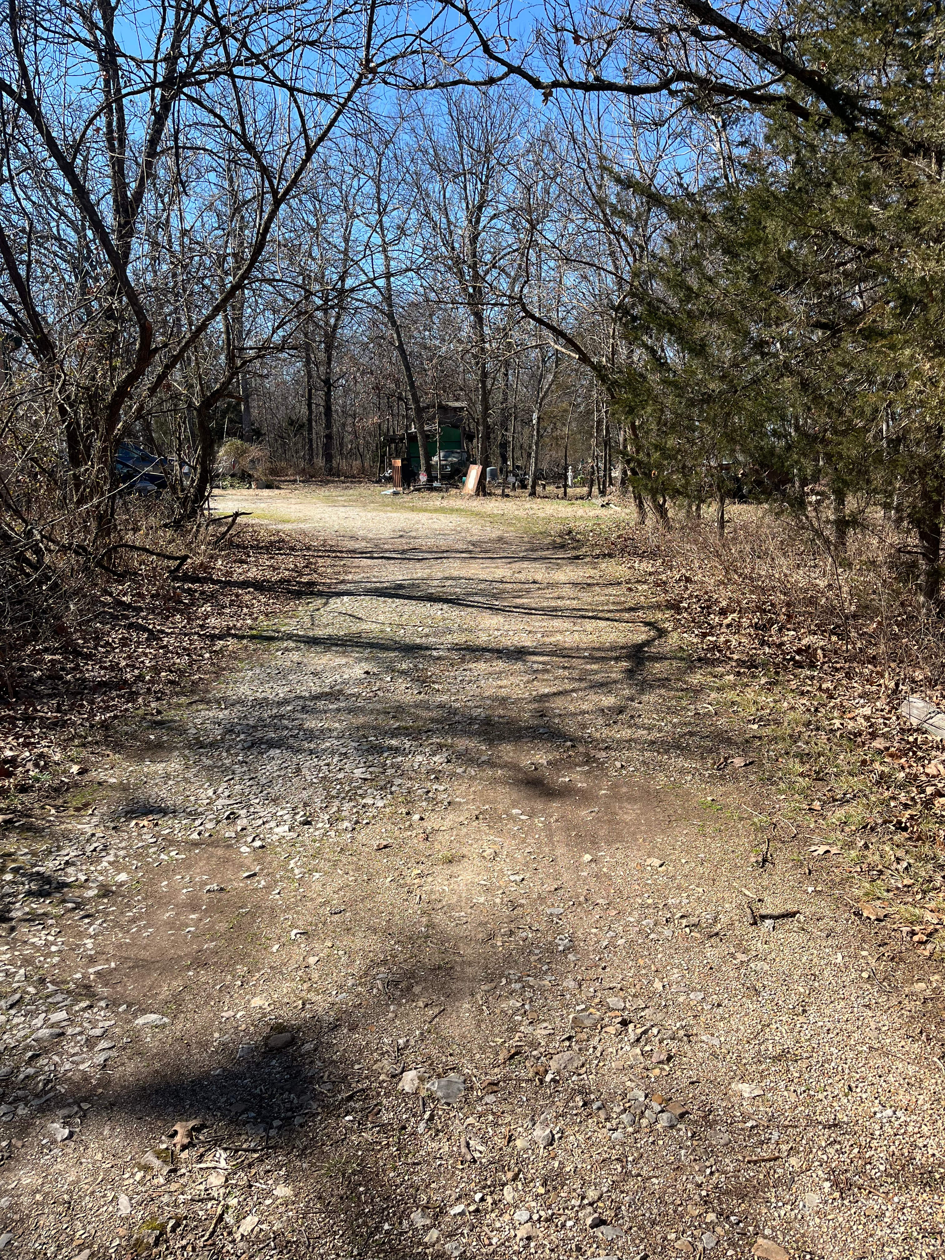 Ozzie and Daisy’s Chill and Stay