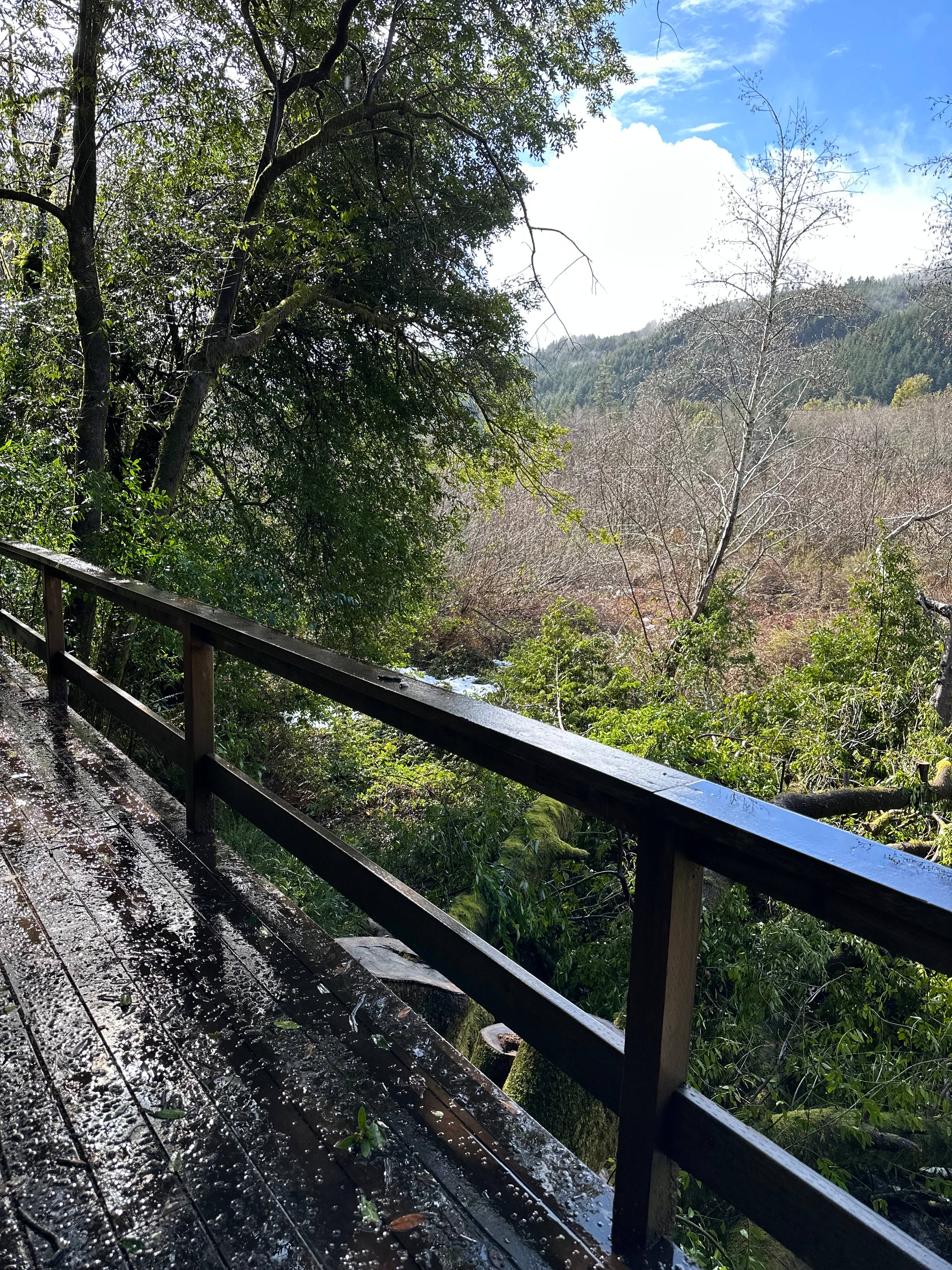 Steelhead Camp on the Chetco River