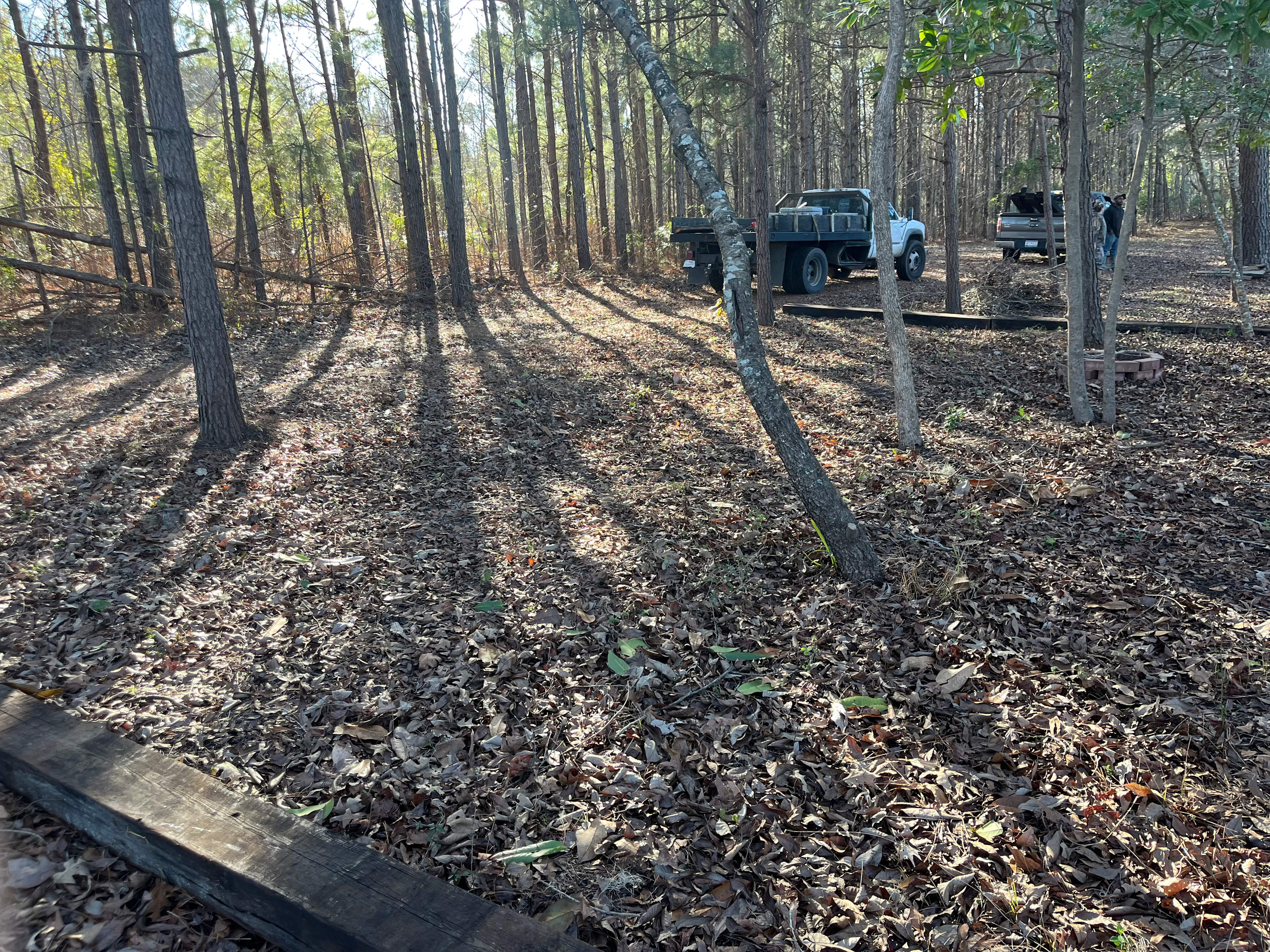 Magnolia Branch on the Gully