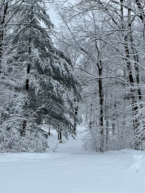 North Sky Retreat: 177 Acres