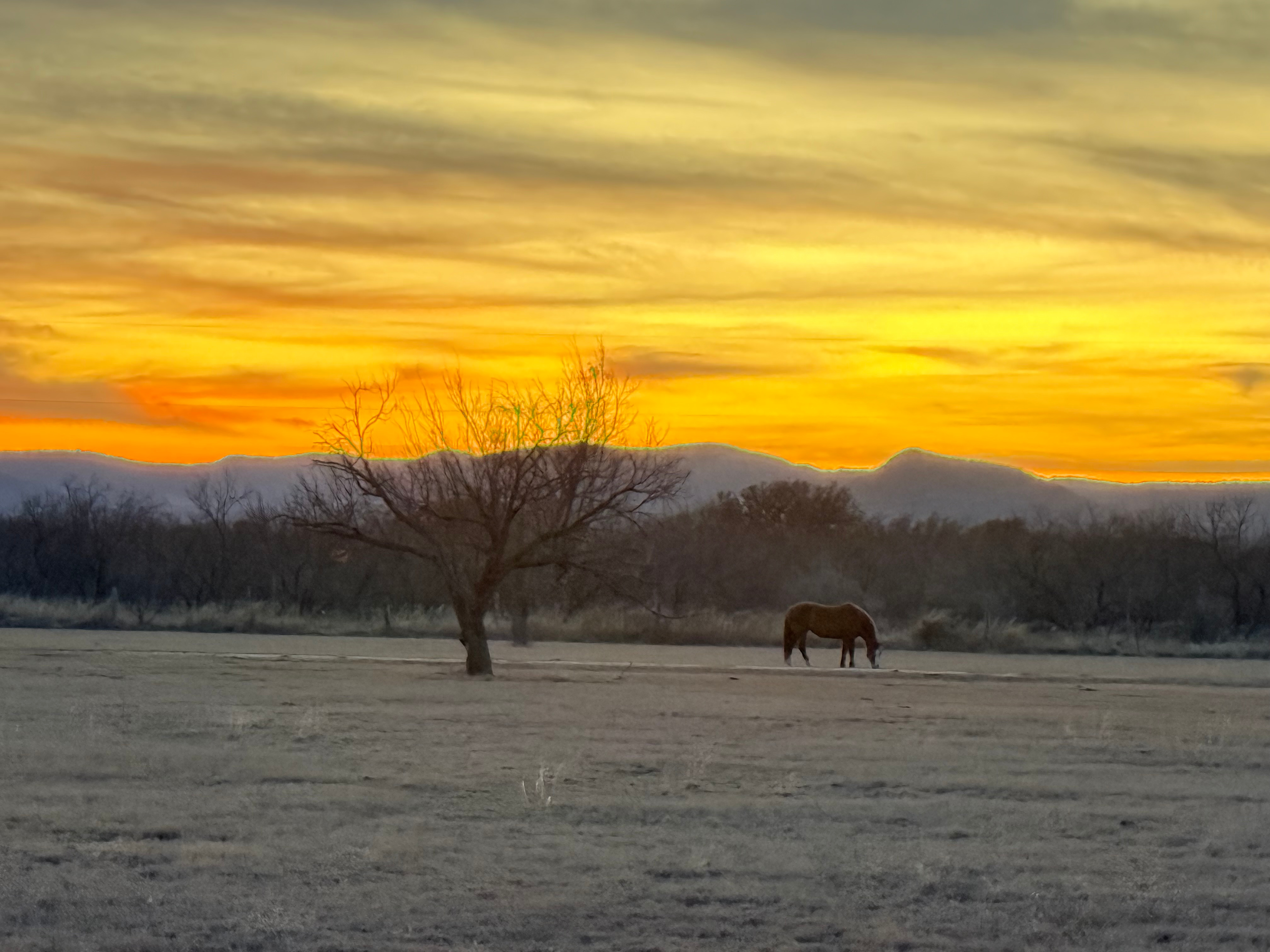 Serenity Hills Ranch