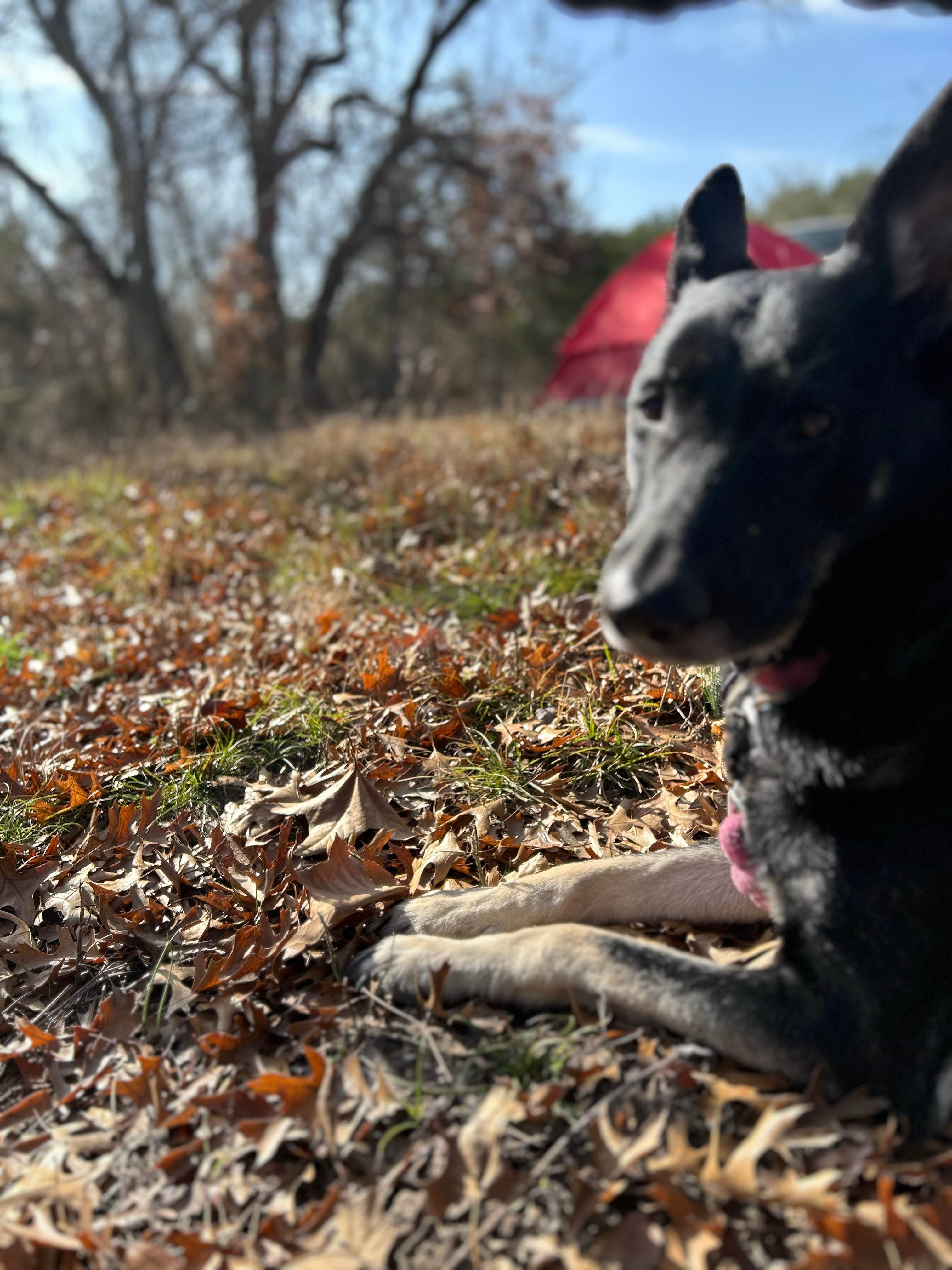 Creekside Coach Park