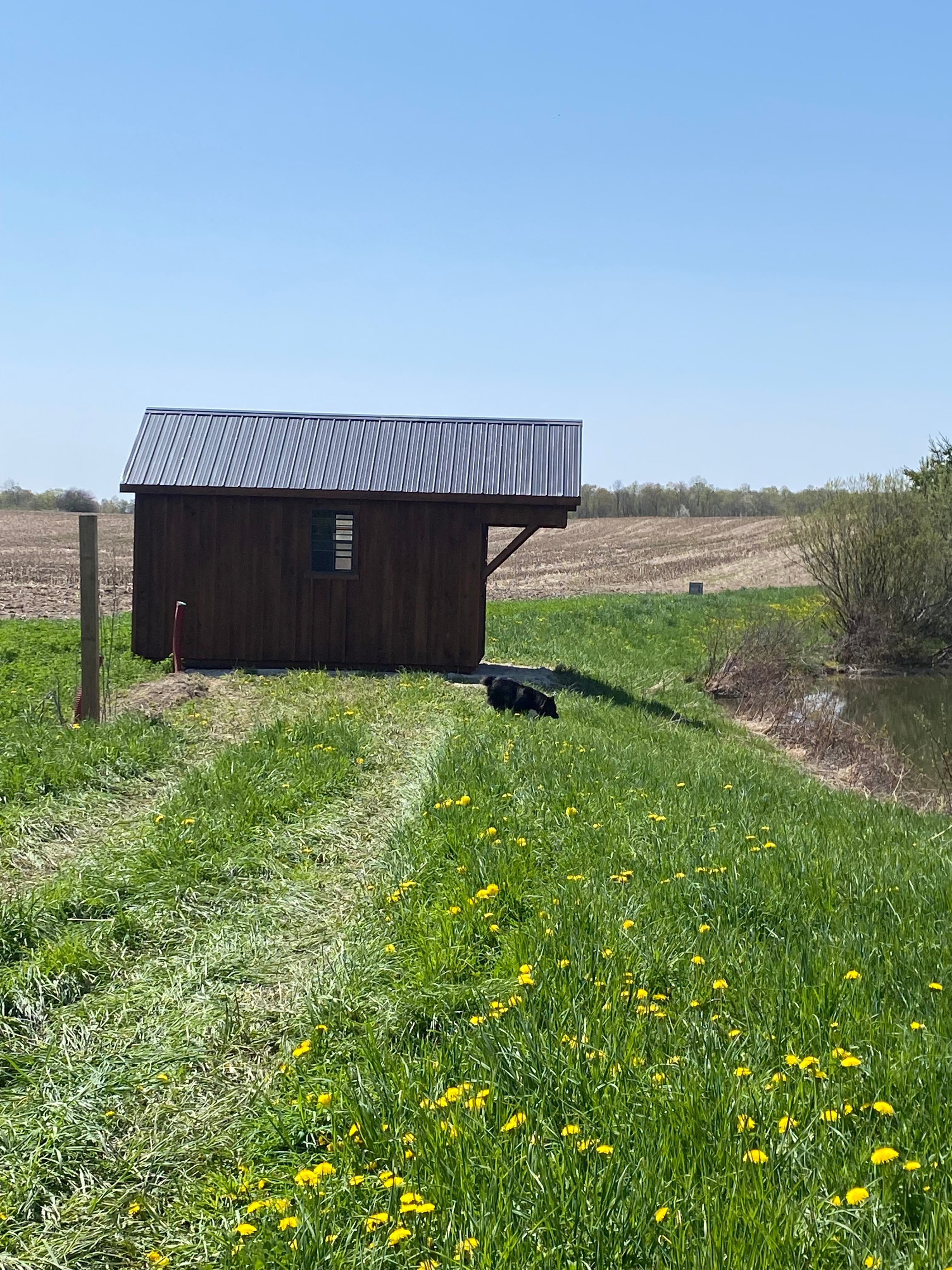 Rob’s Farm Camping