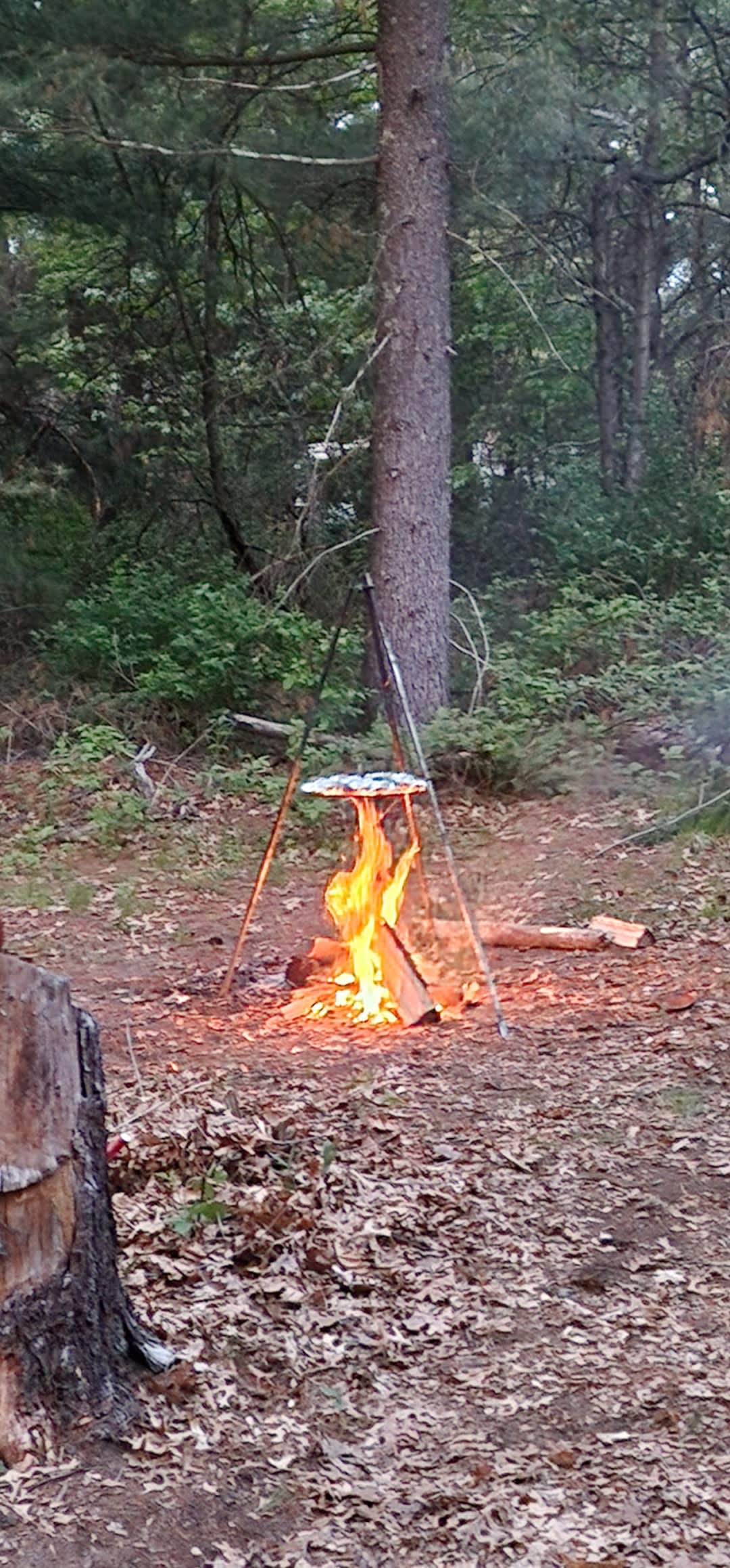 Yellow River Hideaway