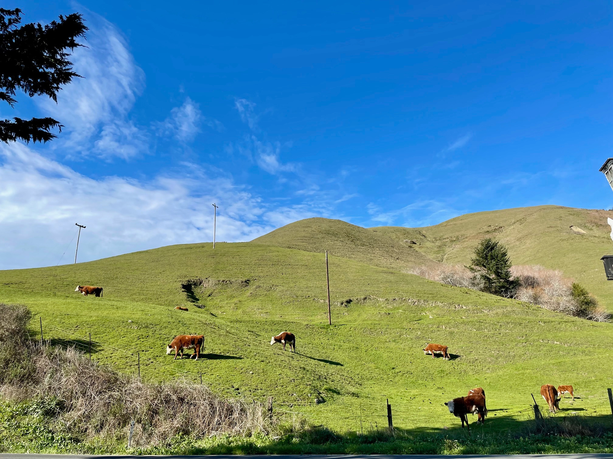 Quiet Riverfront Camp near Coast