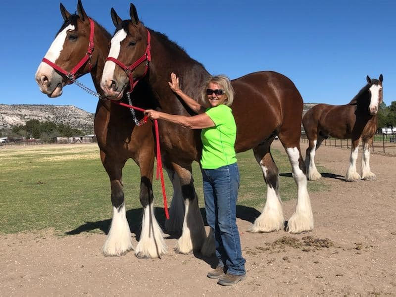 Nashwa Farms Camping & Sanctuary