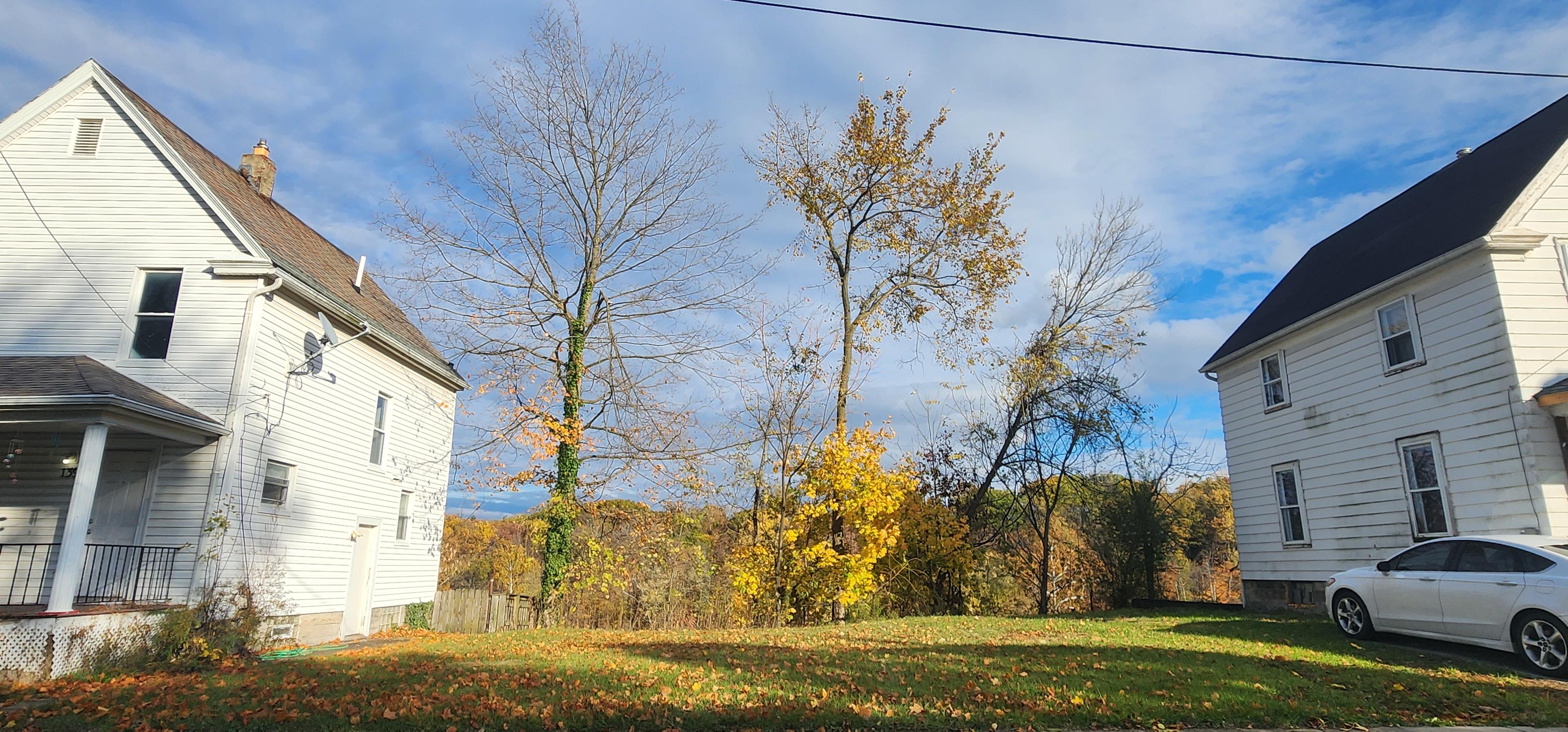 Historic neighborhood backyard lot