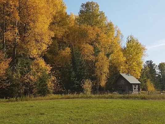 Hidden Valley Log Cabin + Tenting