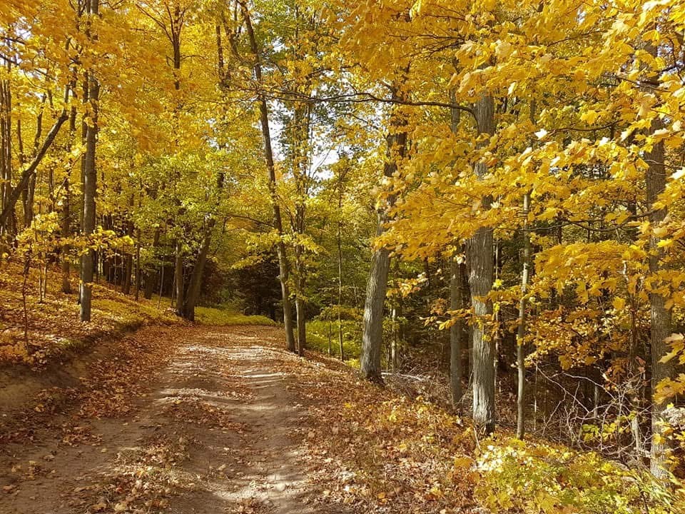Hidden Valley Glamping Cabin + Dome