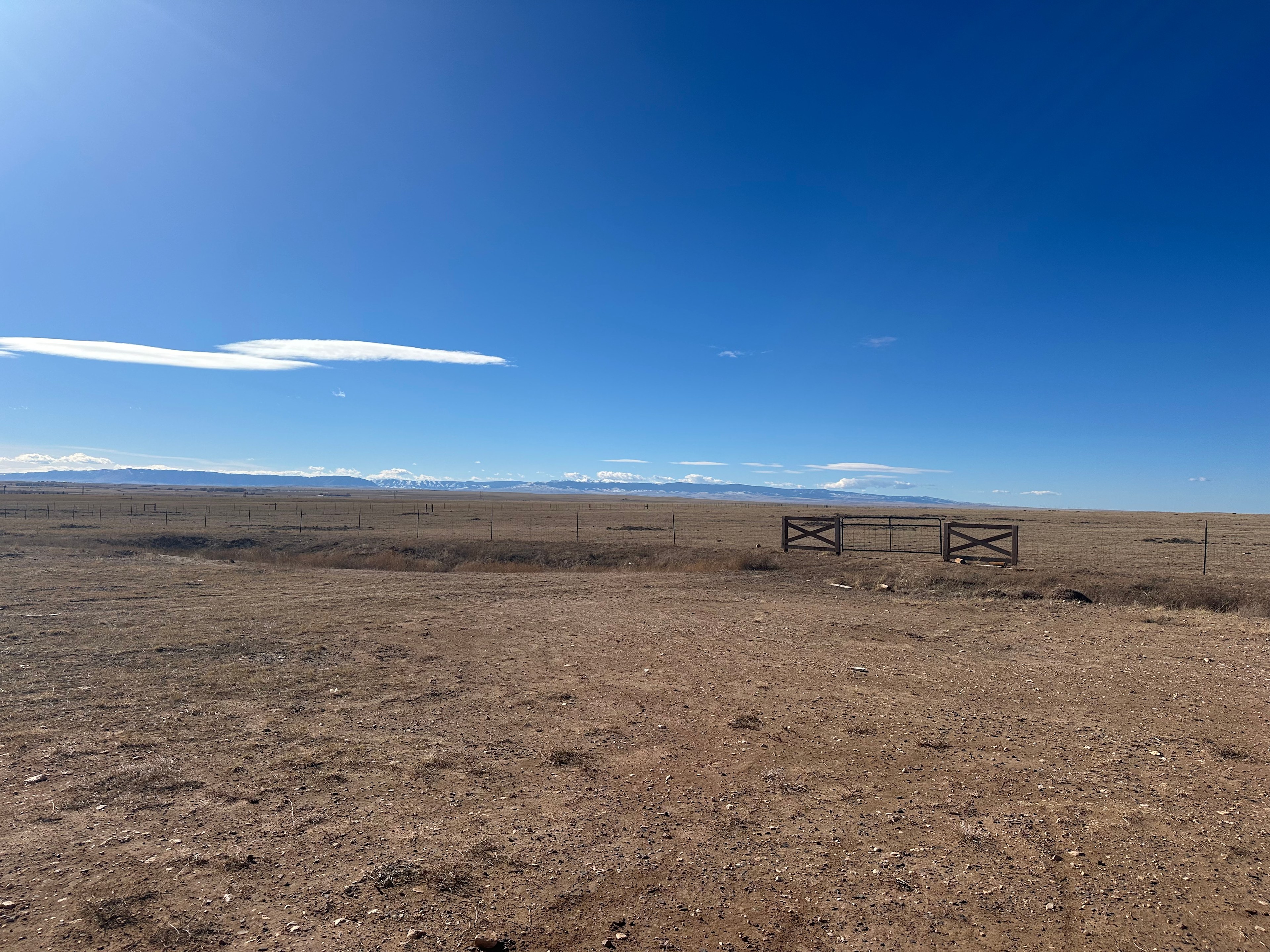 Beautiful view of the Snowies