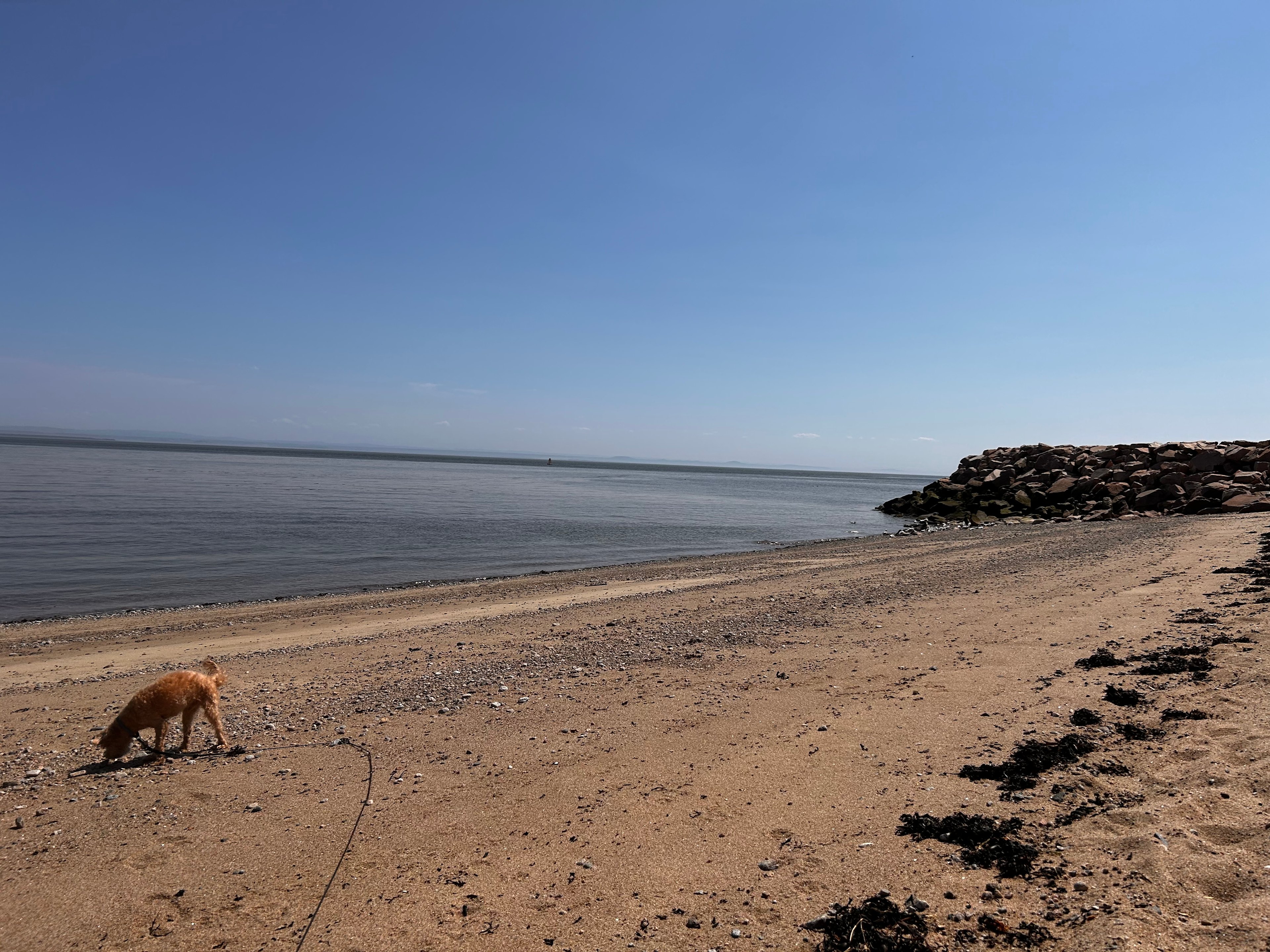 La halte des nomades