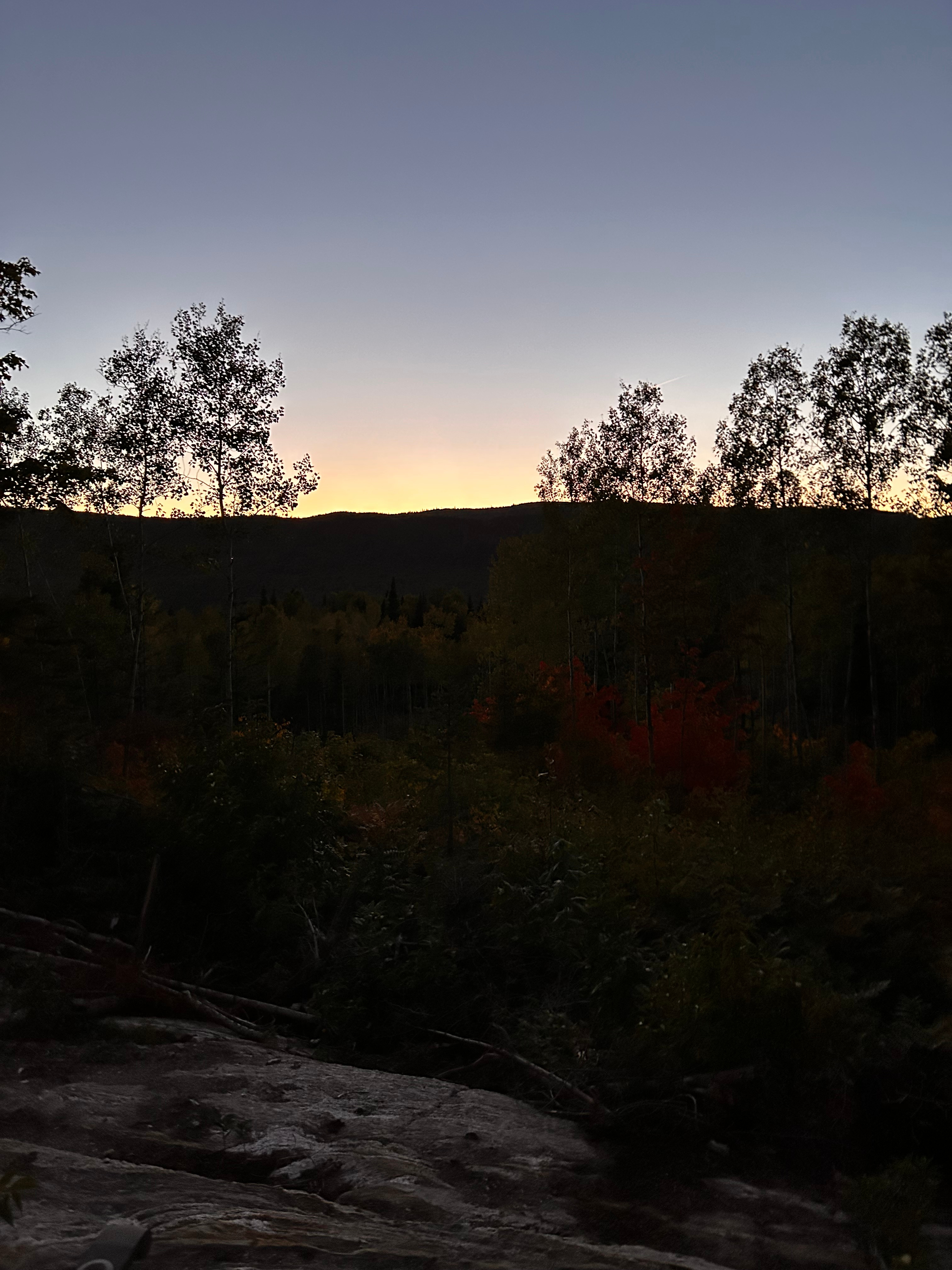 La halte des nomades