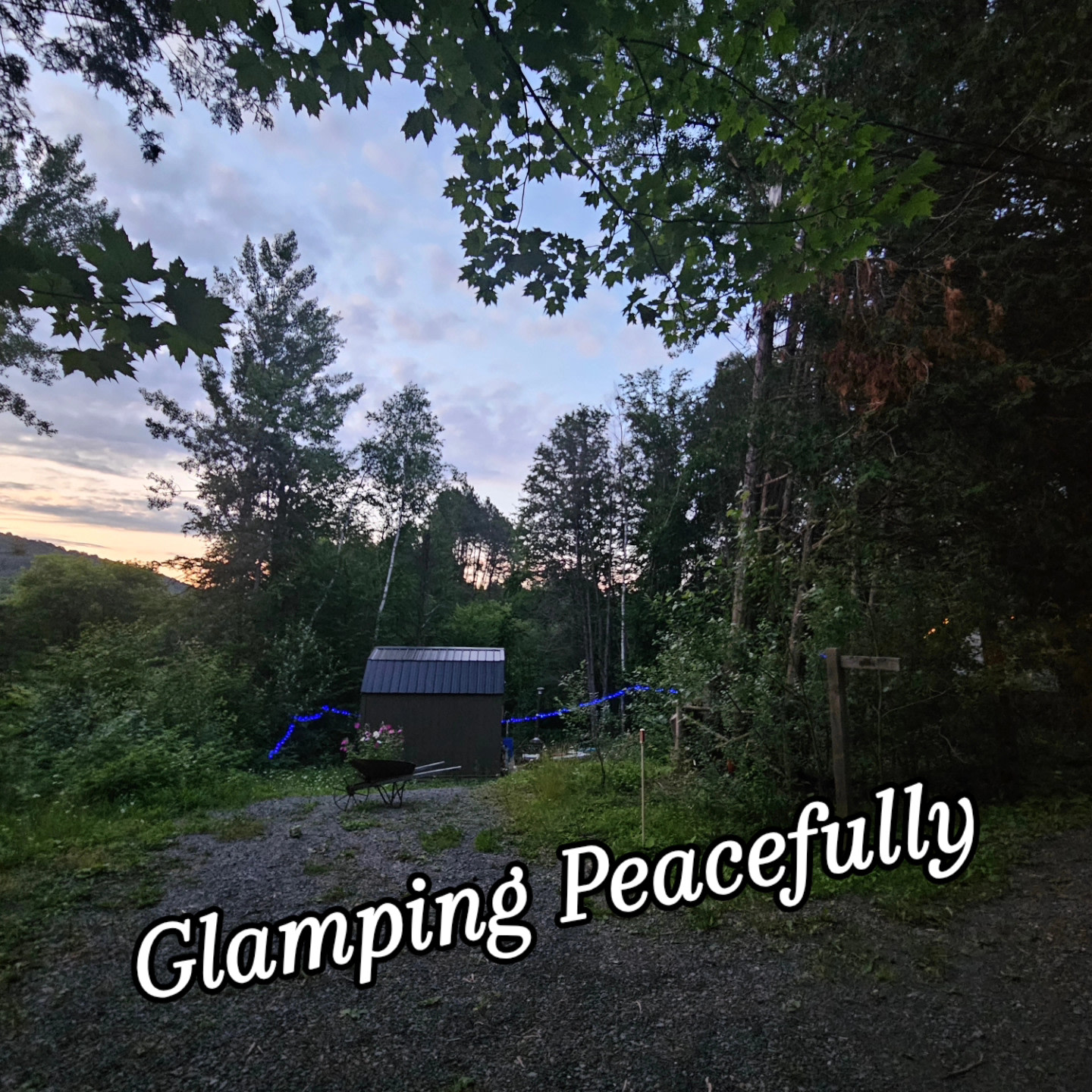 Camp dans Rouge/ Camp in Red
