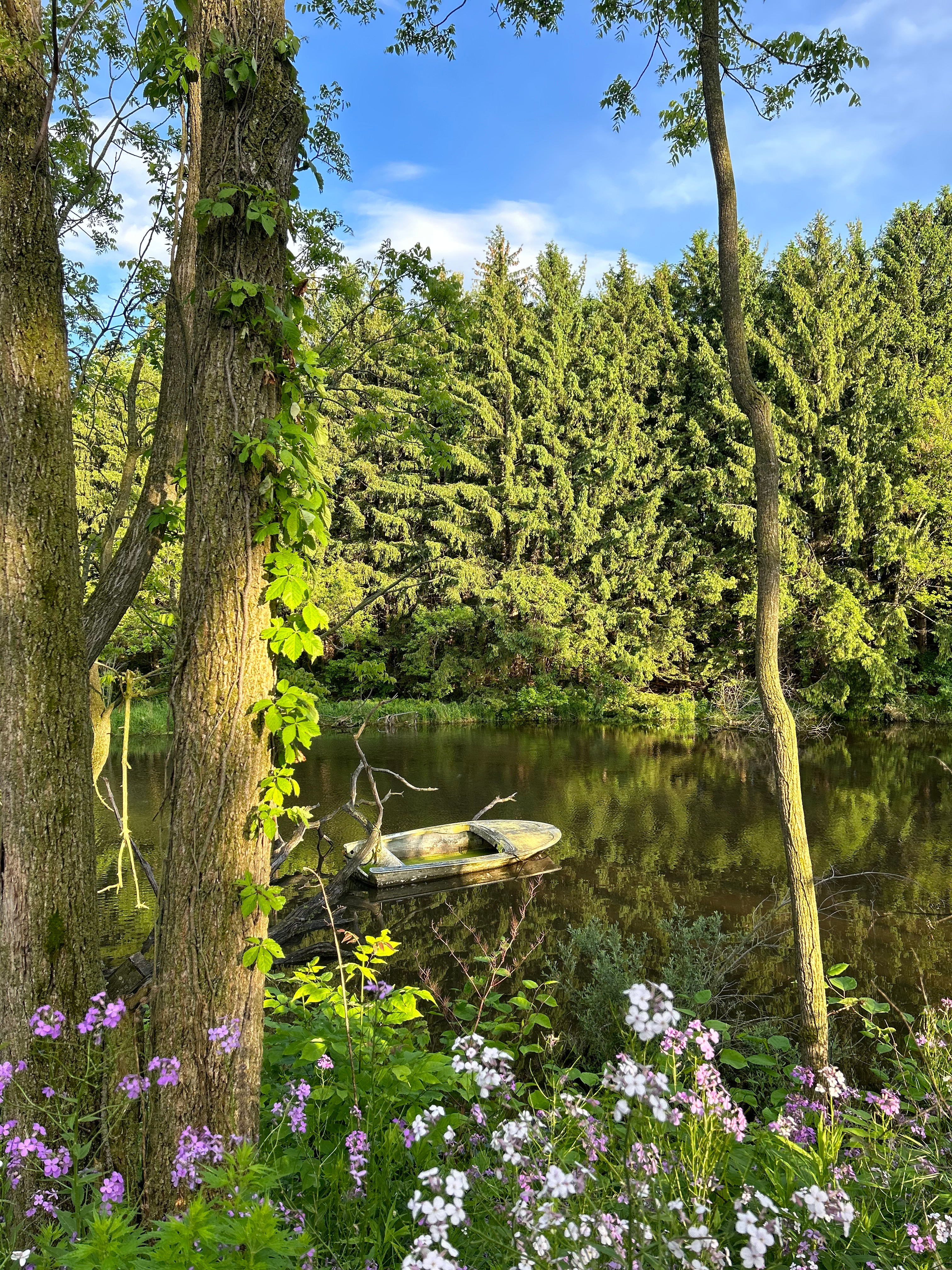 Luna Creek - this could be your view!