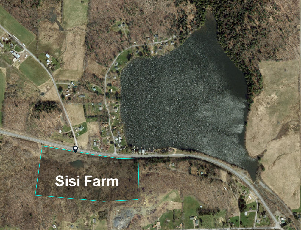 Sisi Farm @ Guilford Lake NY State