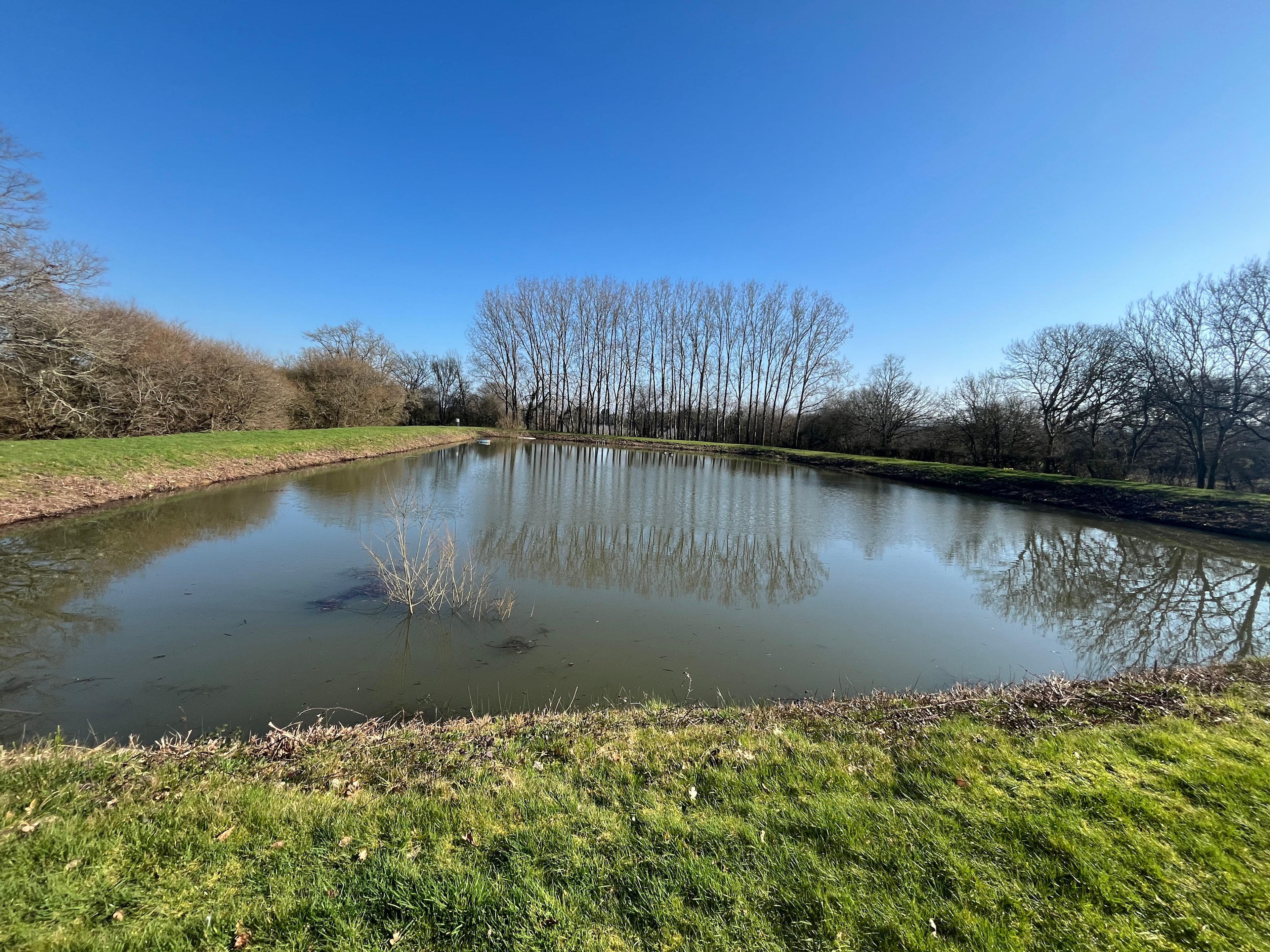 The Secret Pondside Pitches