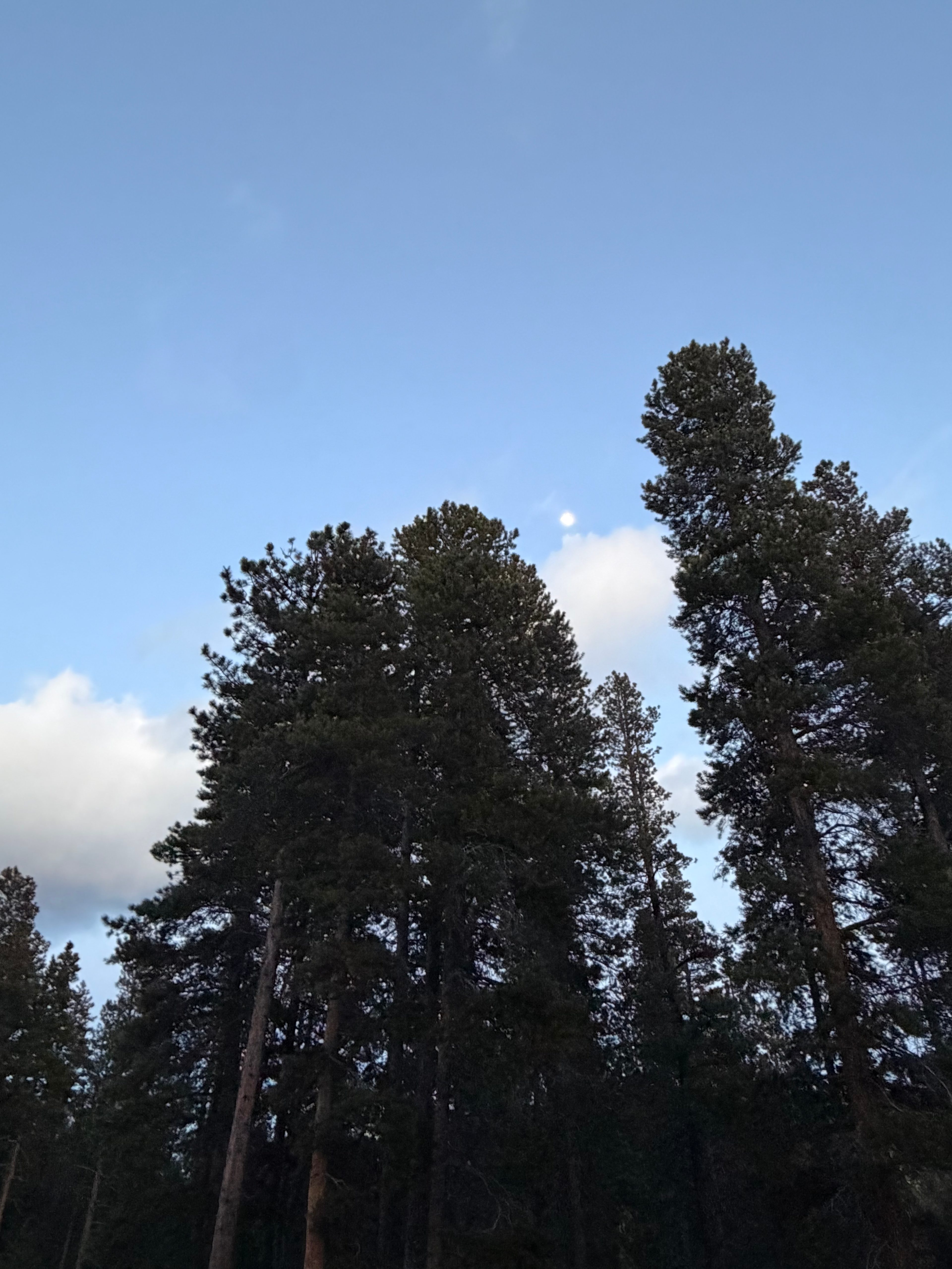 Gamble Gulch Getaways