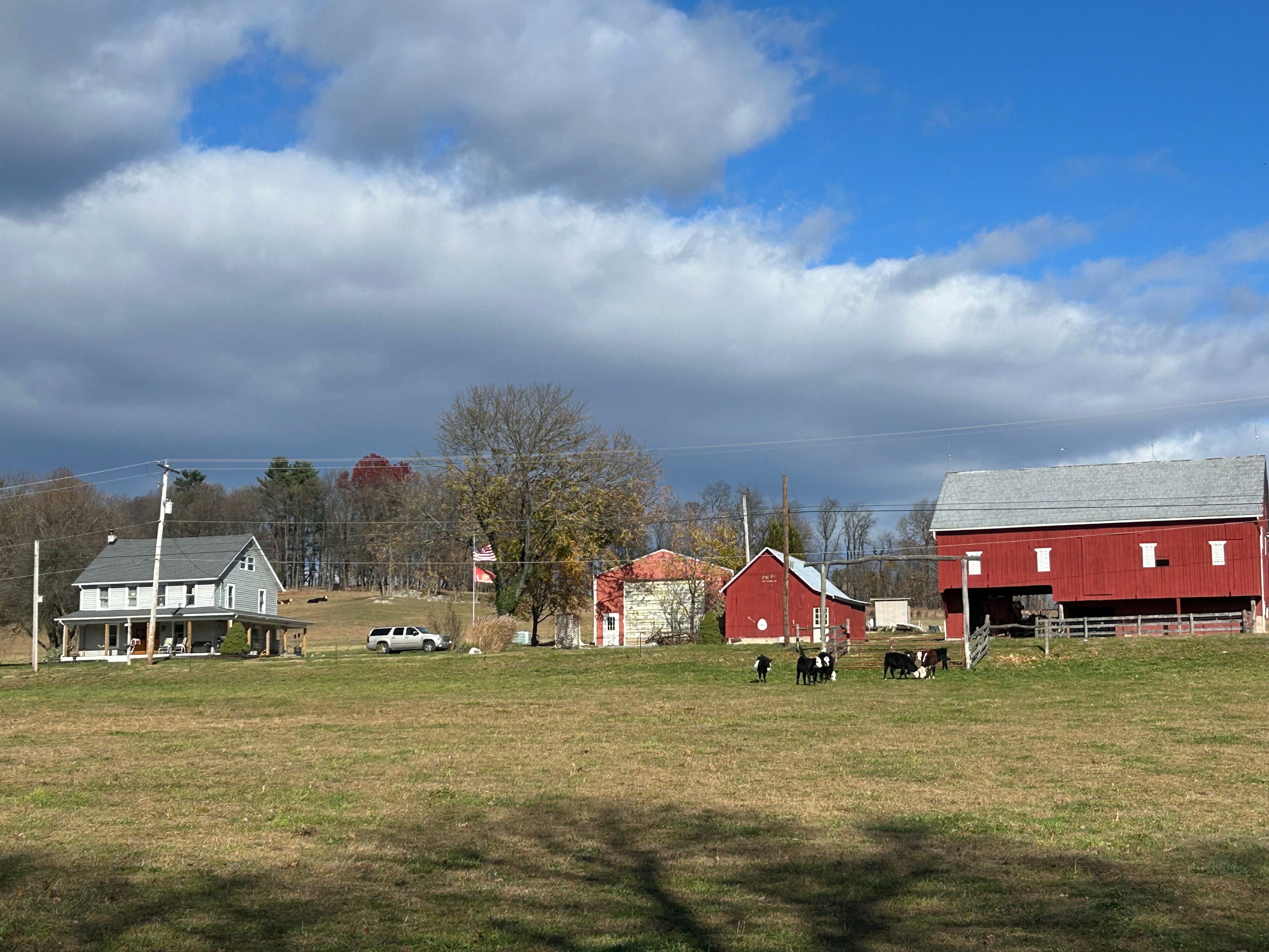Looking up to the ranch headquarters from the creek.