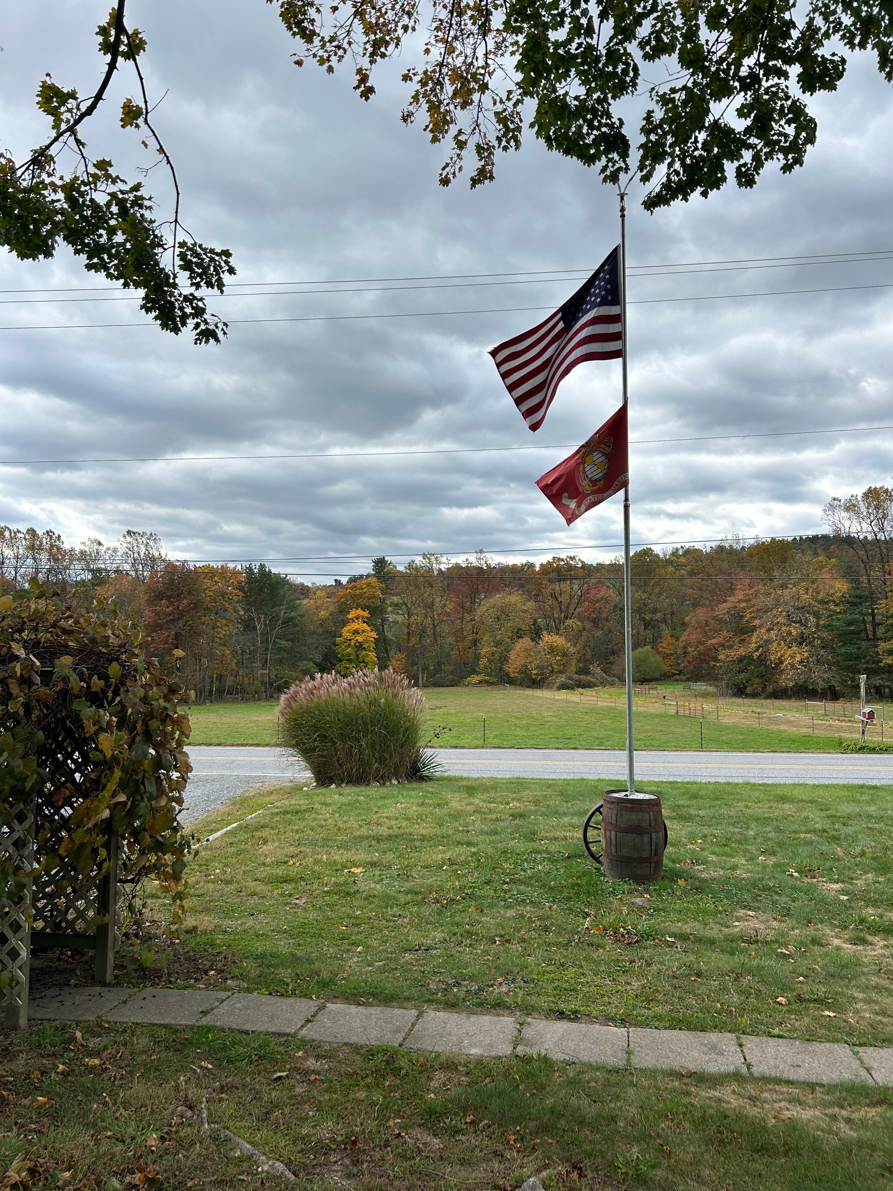 Looking from the house to the creek.