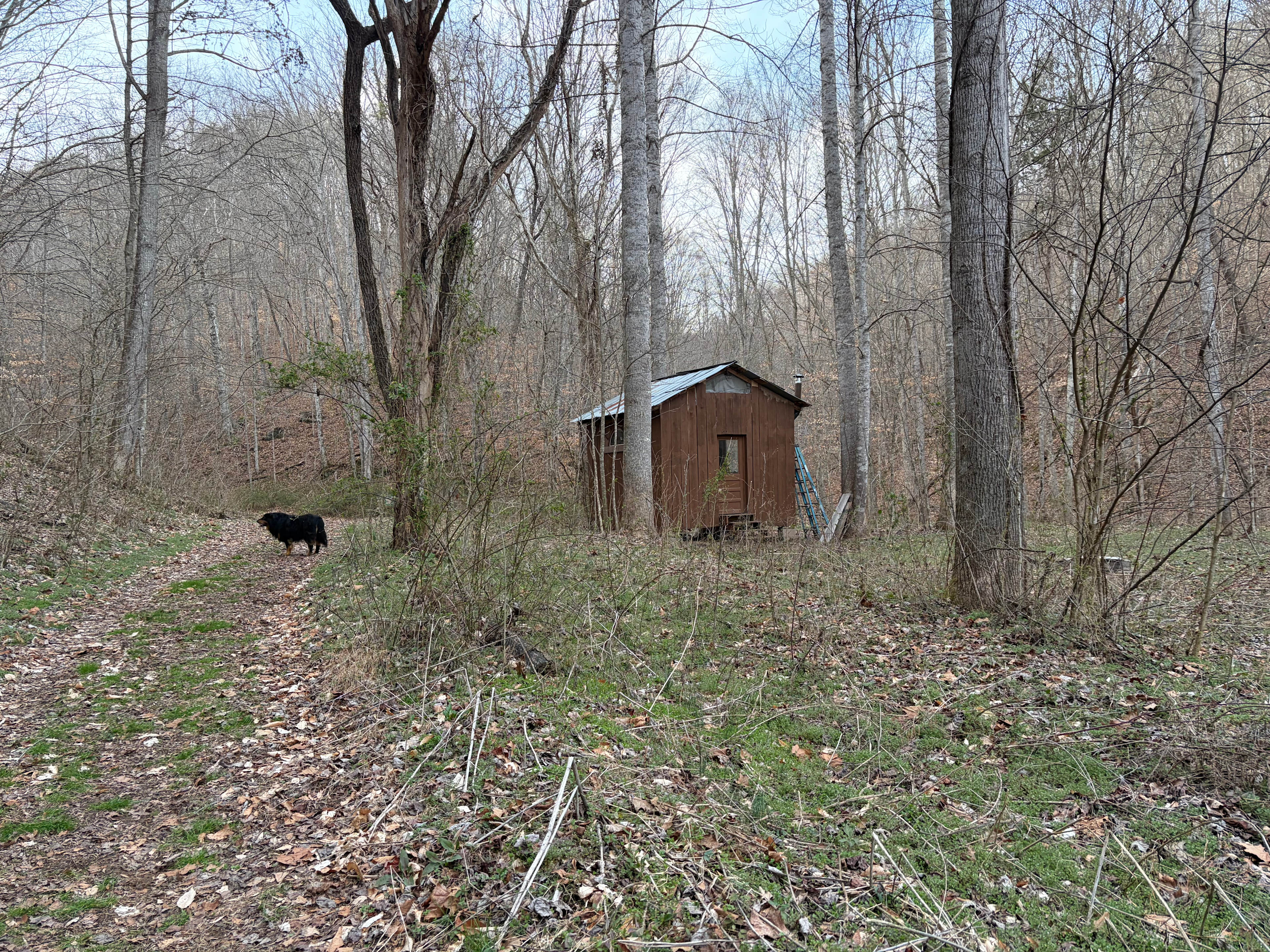Hunters cabin