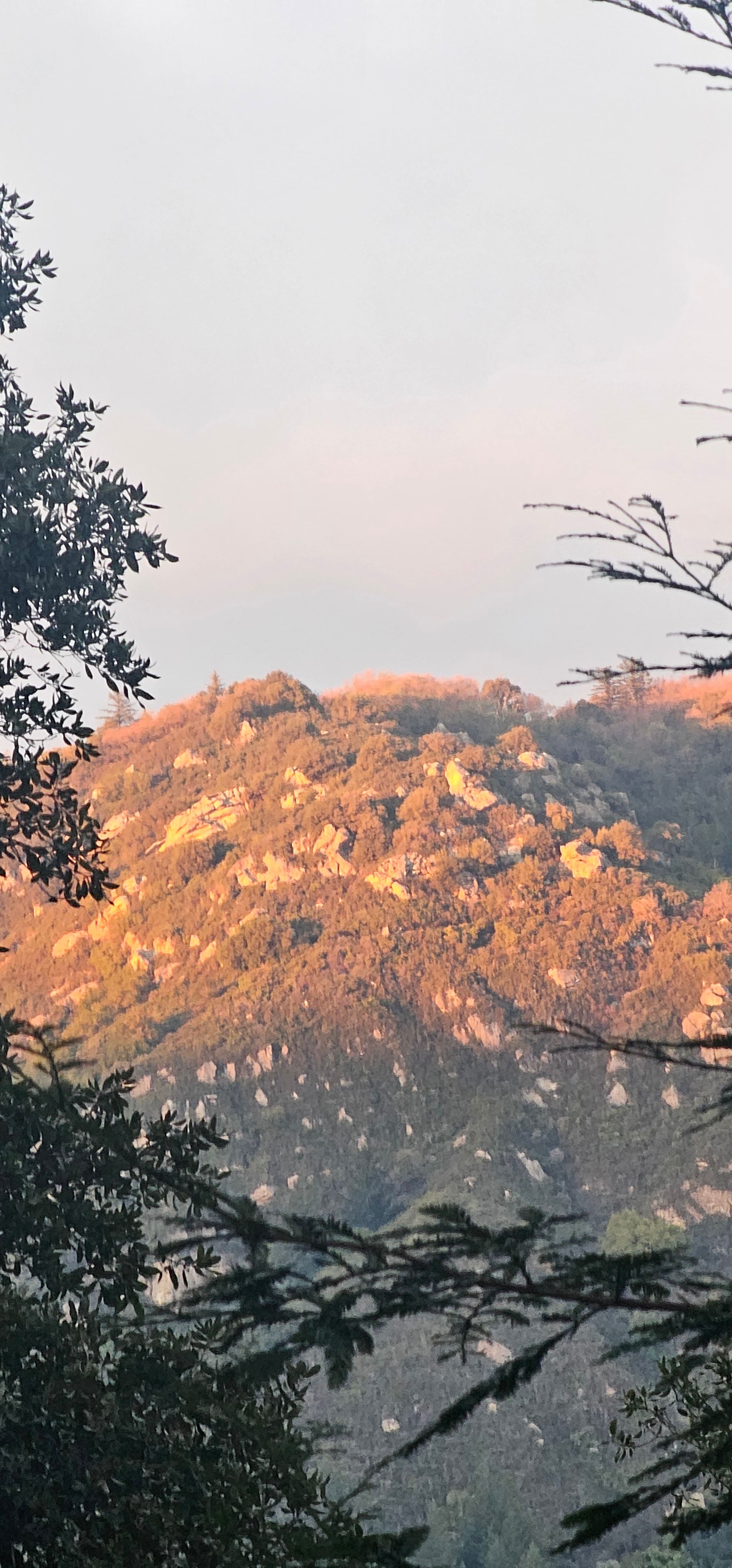 Sun, Soil & Summit