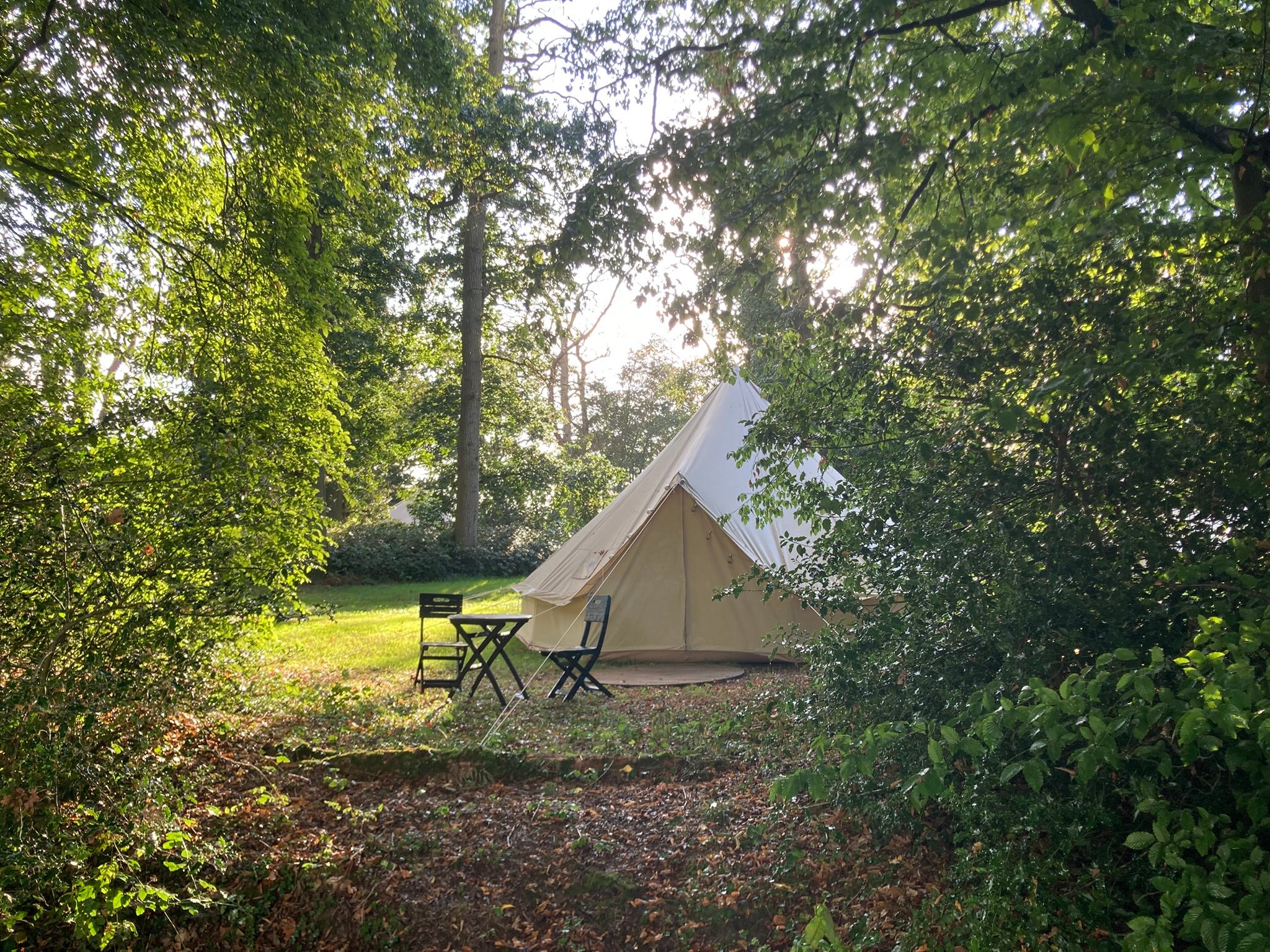 Hill Cottage Woodland Glamping