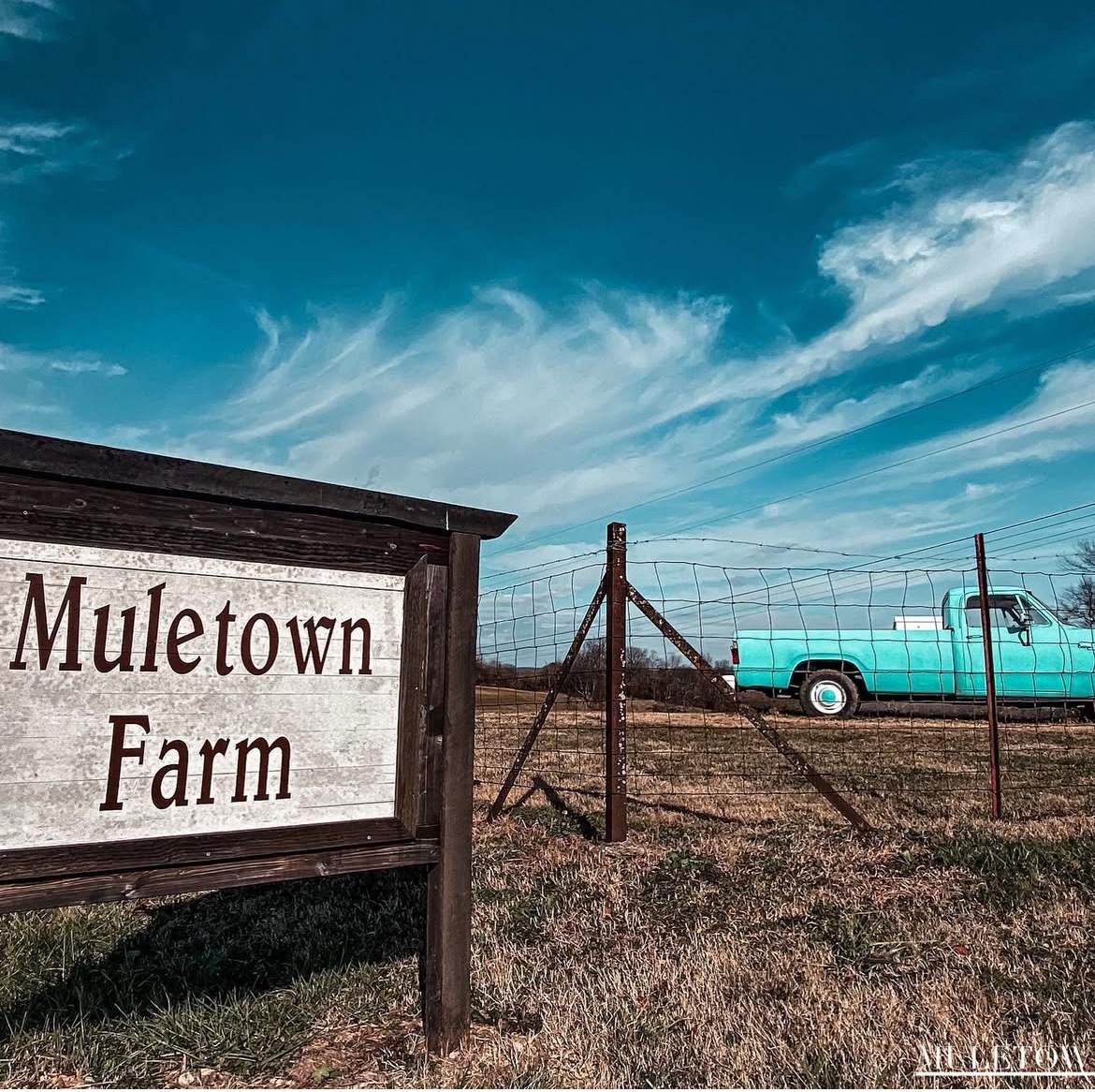 Muletown Farm | Pond | Sunset Views