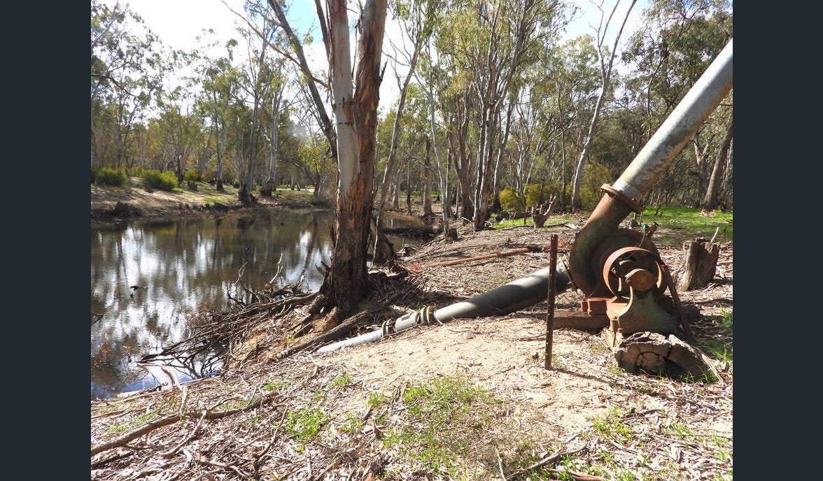 Mckee on Murry River