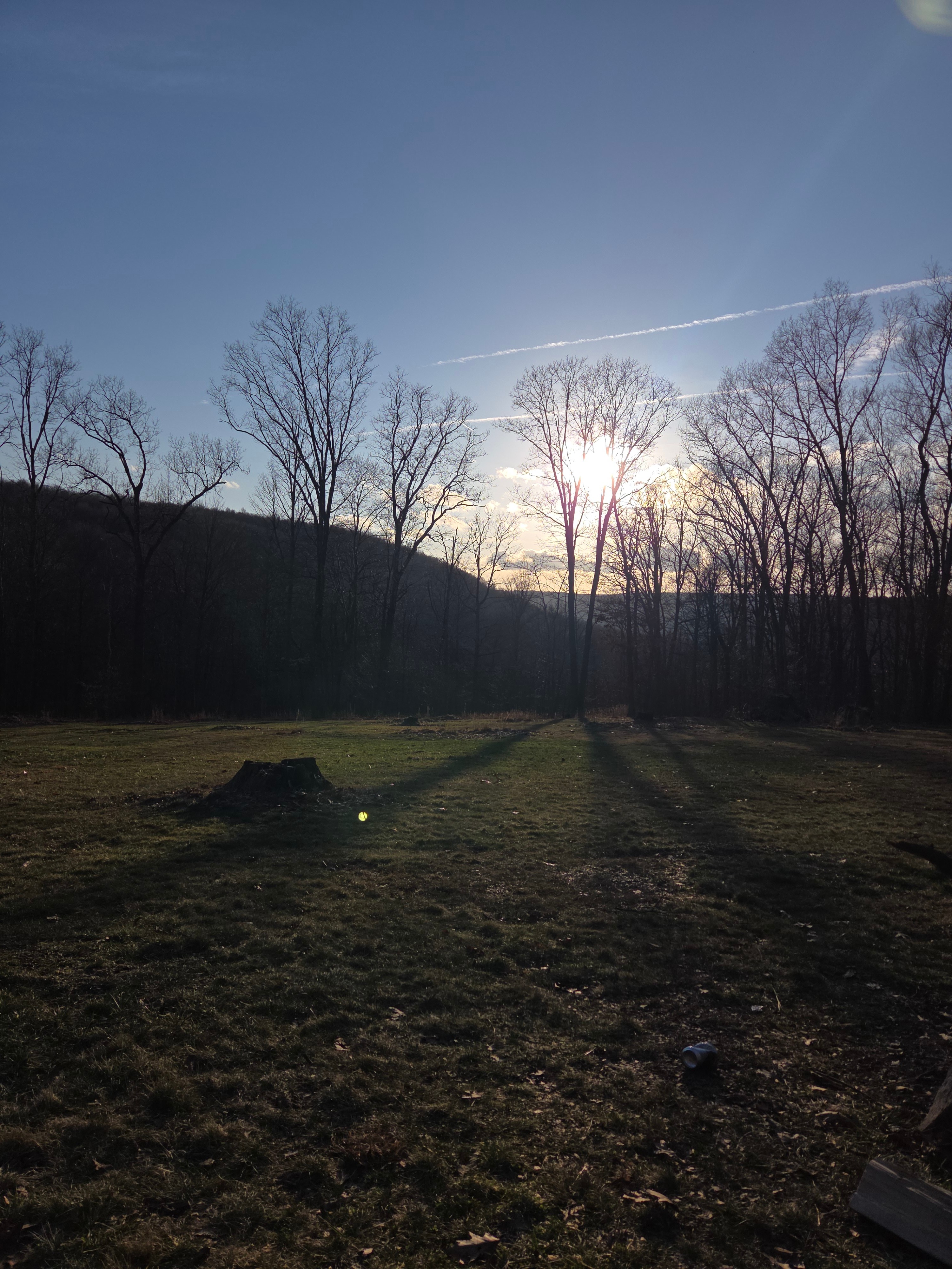 Majestic Mountain Escapes- Champion