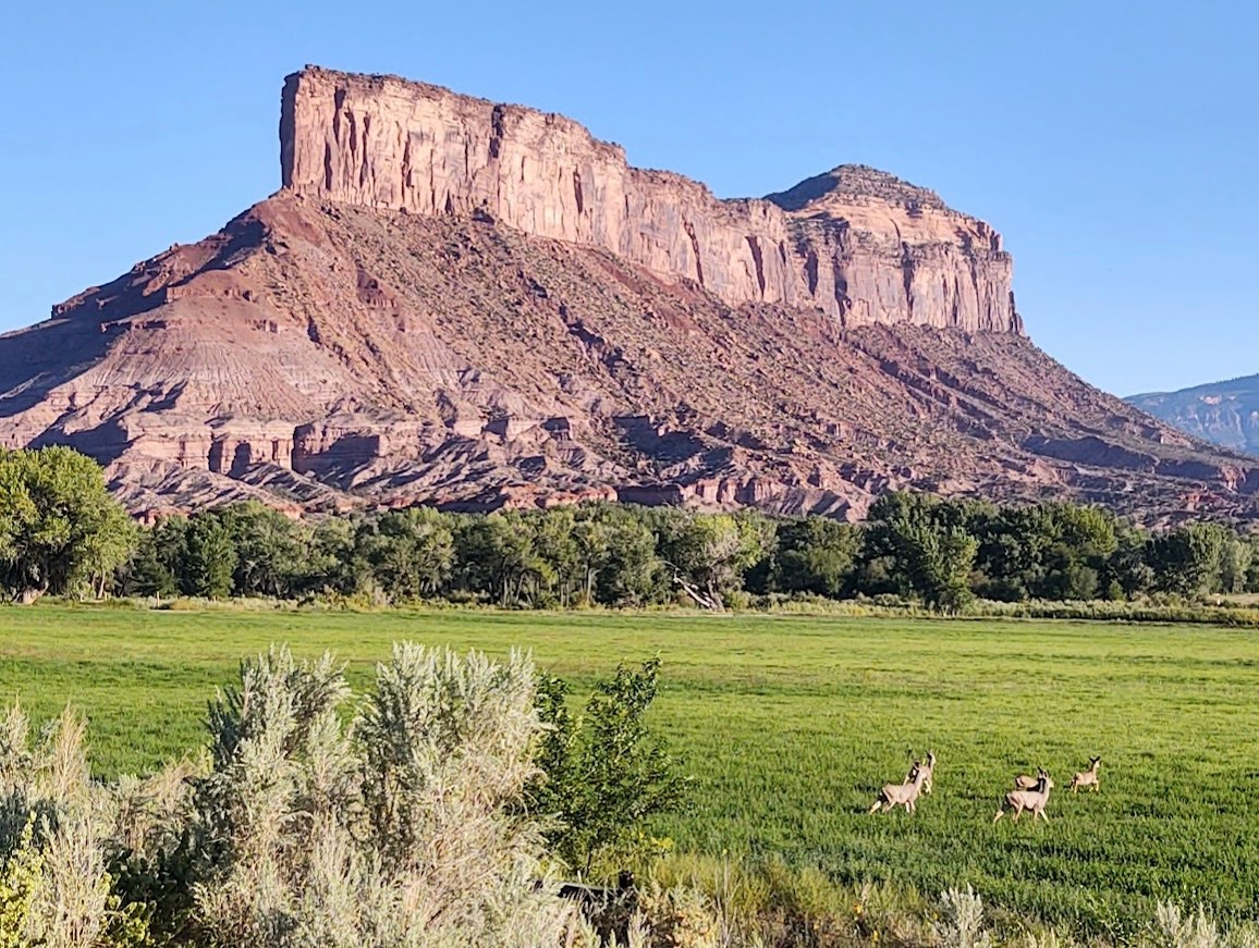 Redstone Creek RV Retreat