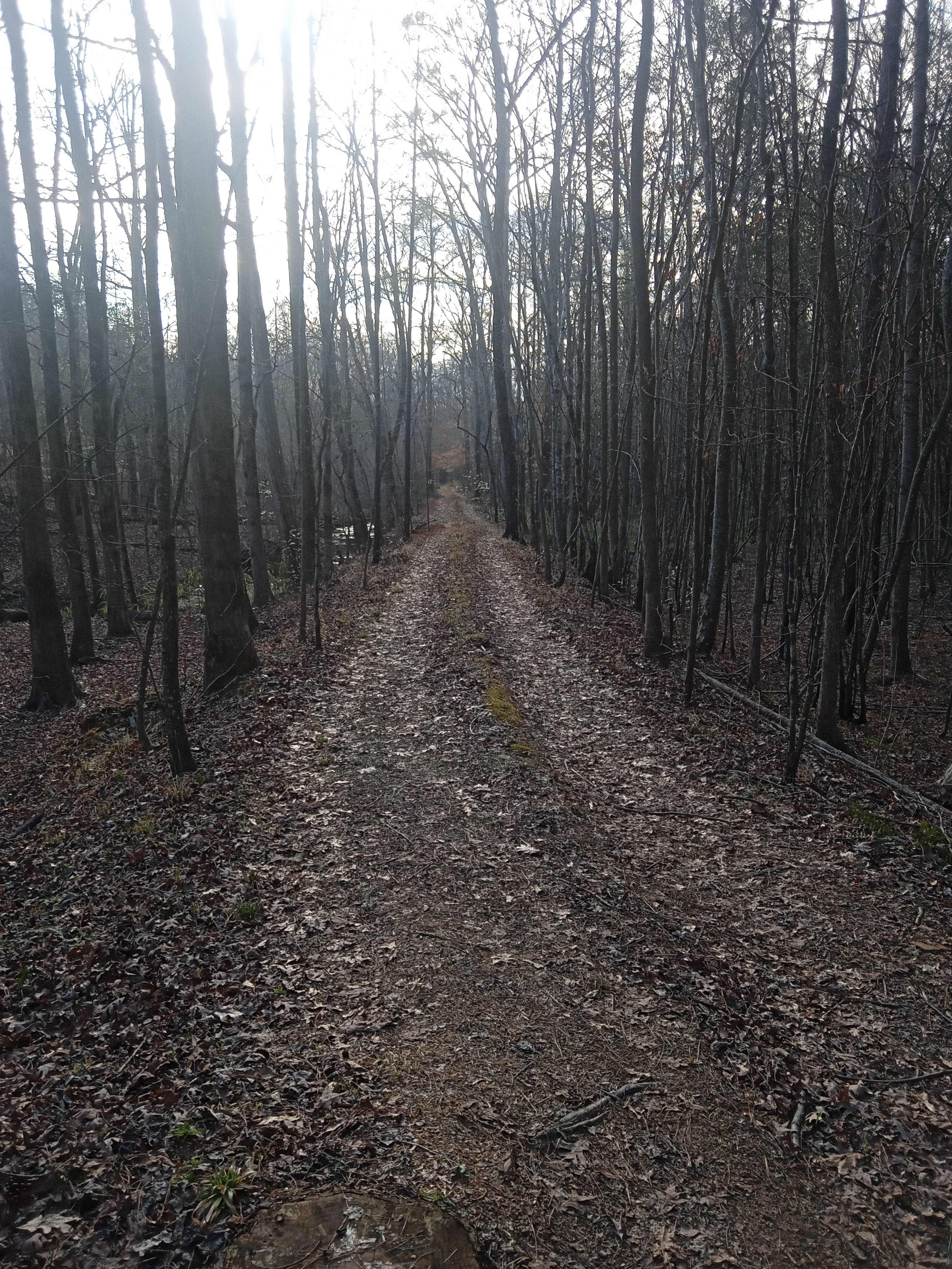 Out Beyond the Creek