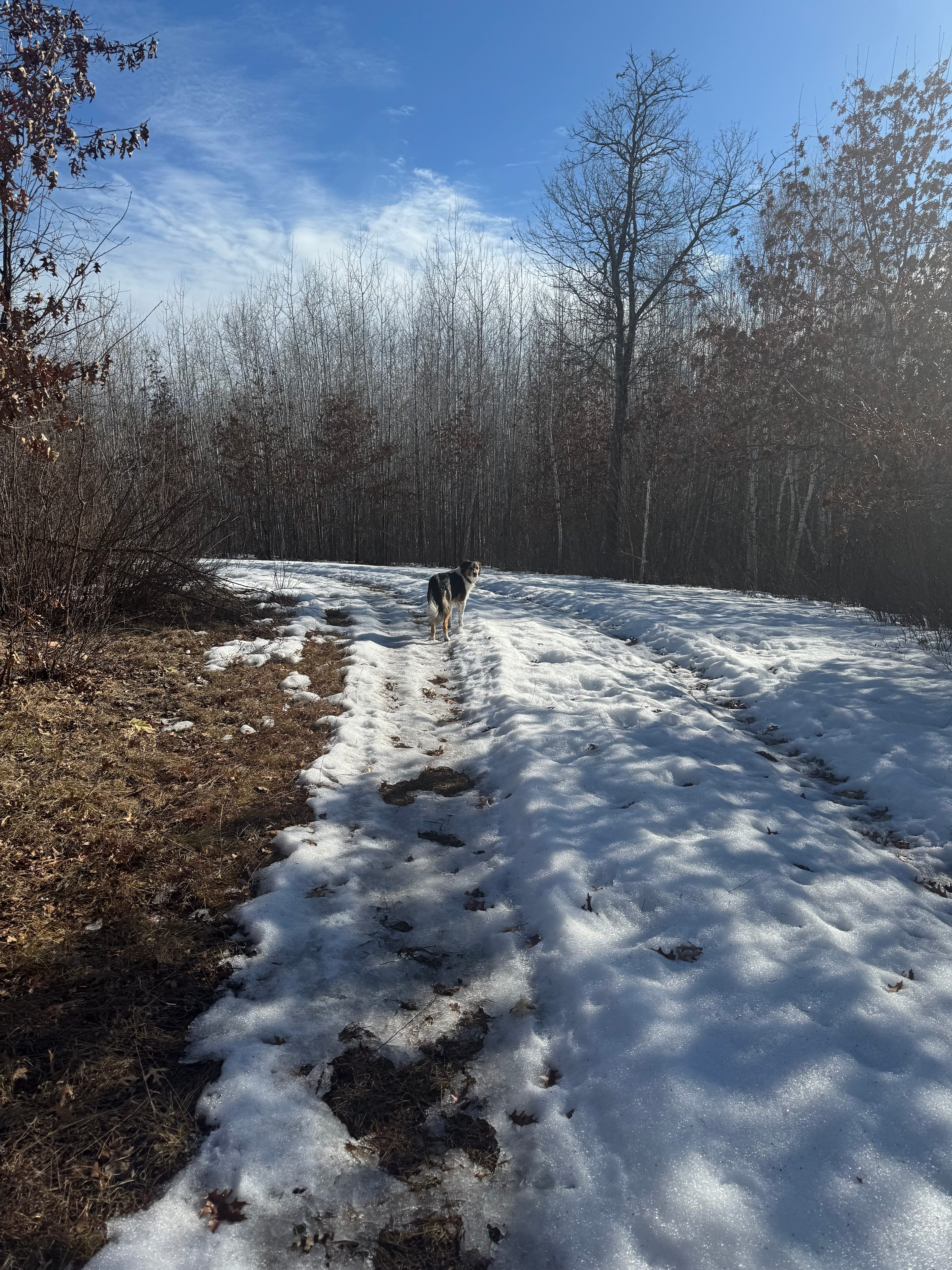 Fireside Among the Pines Retreat